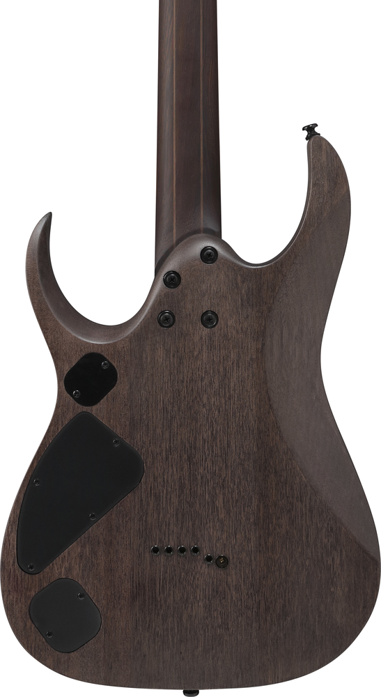 Ibanez RGD621AH Electric Guitar - Midnight Shade Flat