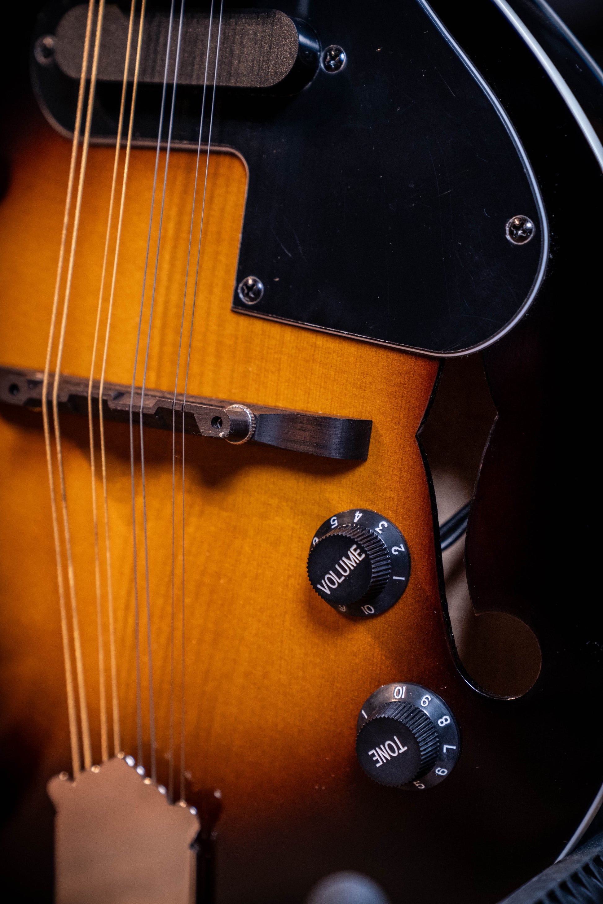 Rover RM-50E A-Style Deluxe Student Mandolin w/ Pickup
