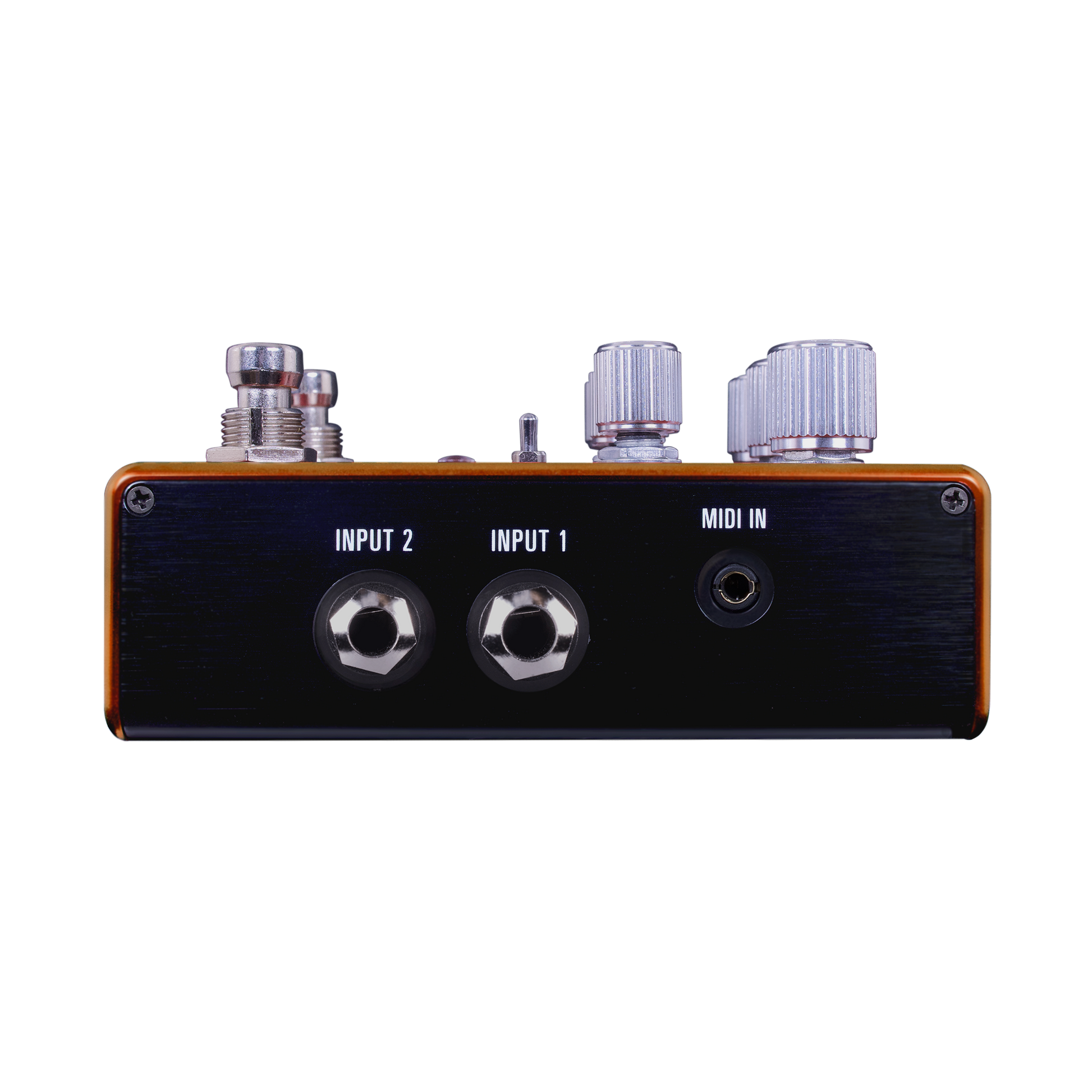 Source Audio PATHWAYS Stereo Reverb + Tremolo Pedal