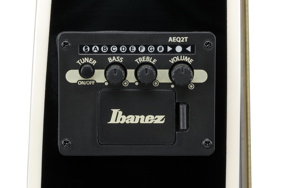 Ibanez TCY10PA Acoustic Guitar - Transparent Brown Black Burst High Gloss