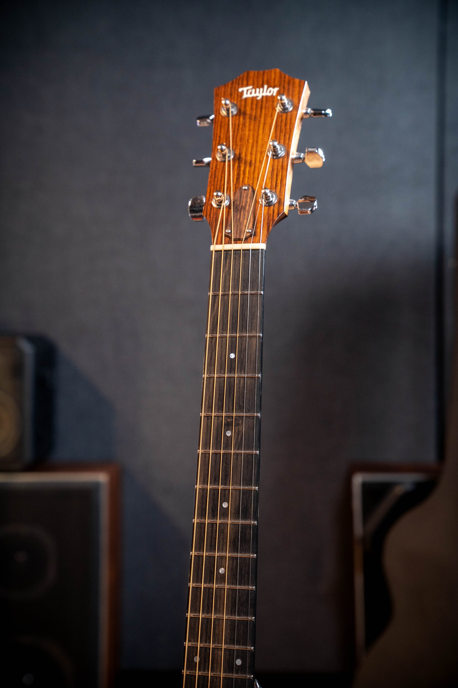 Taylor 314ce Acoustic Electric Guitar w/Case - Pre-Owned