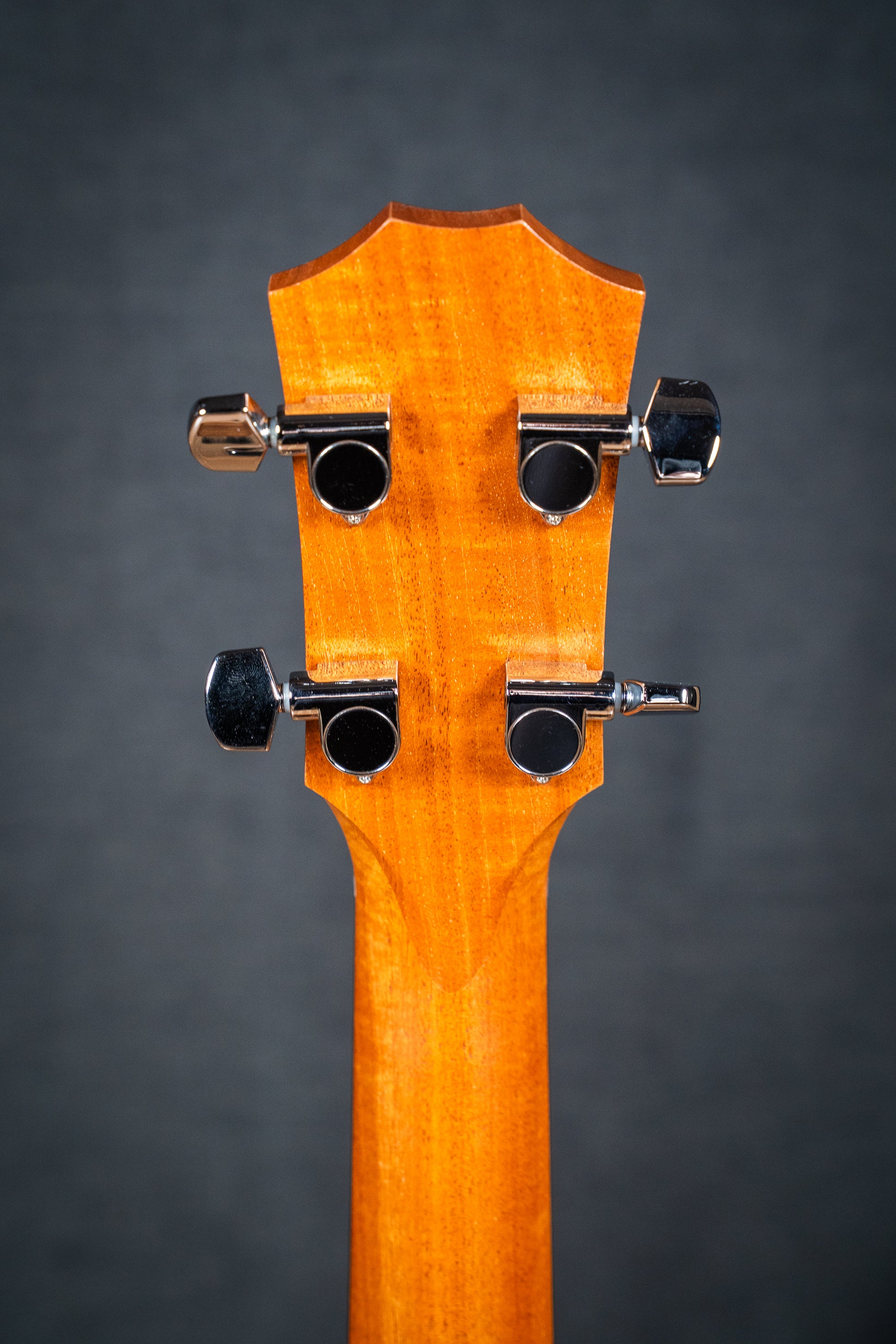 Taylor GS Mini-e Koa Bass - Pre-Owned