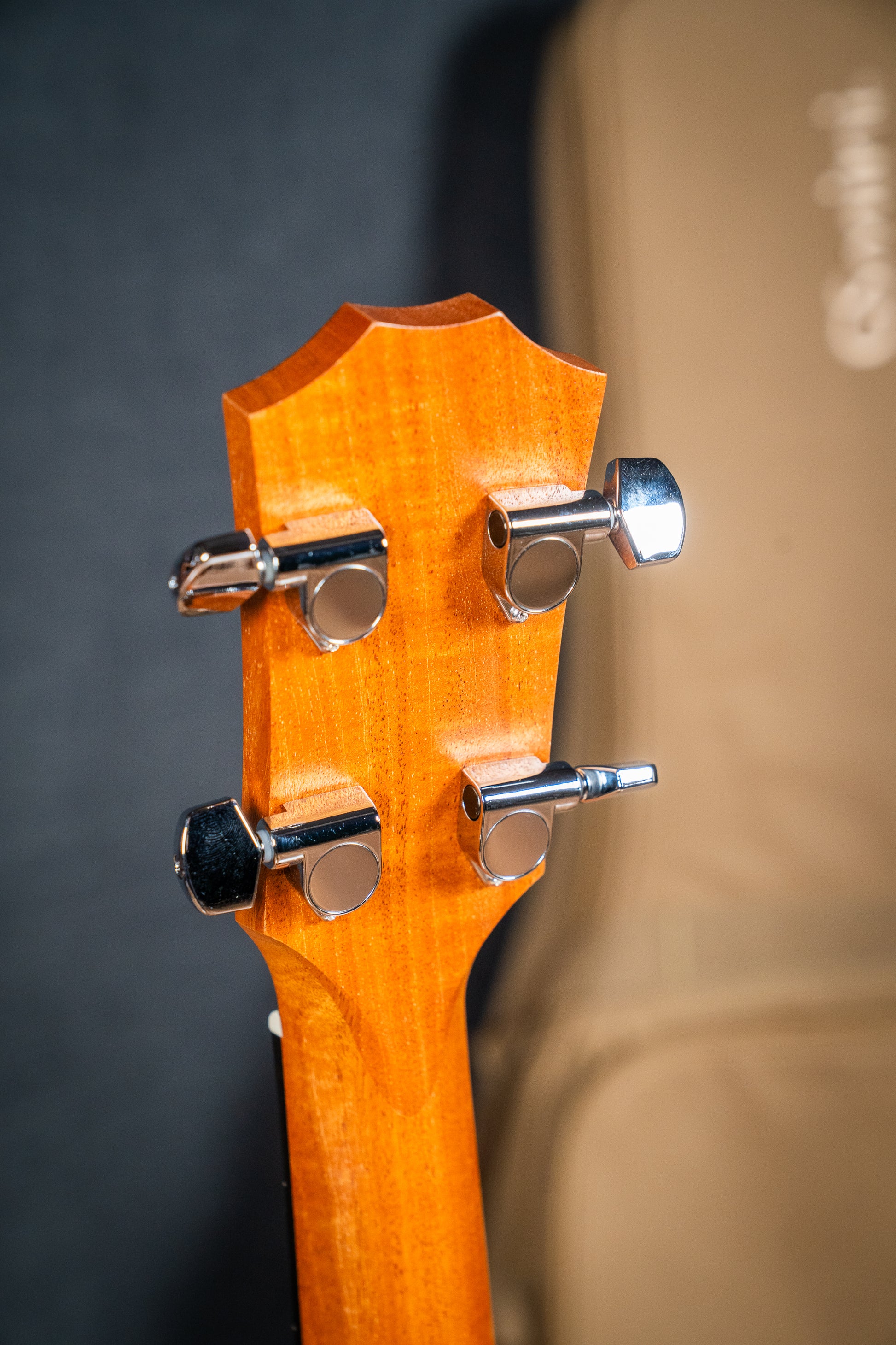 Taylor GS Mini-e Koa Bass - Pre-Owned