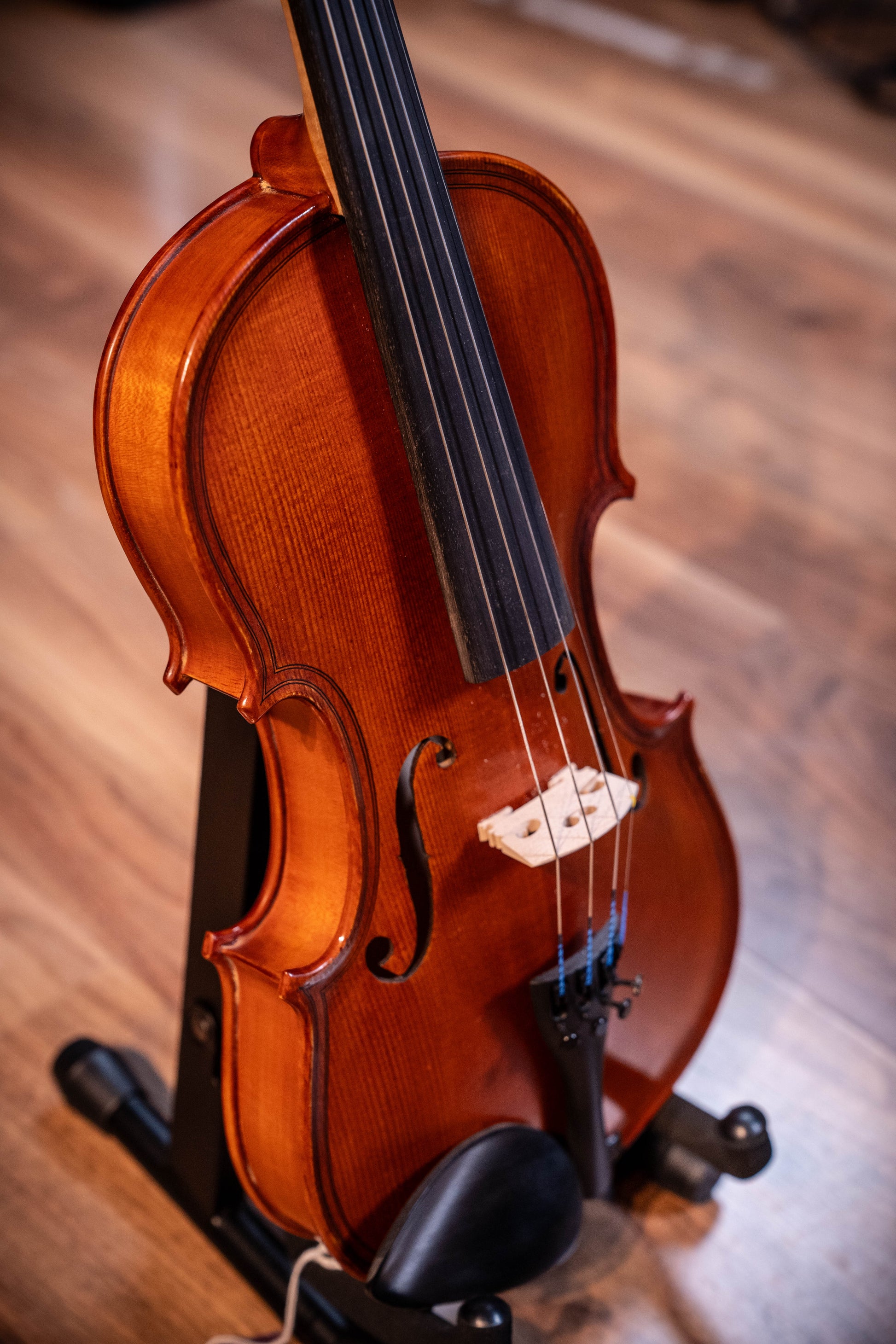 Gliga II 4/4 Violin Outfit w/Double Purfling - Set up w/Violino Strings