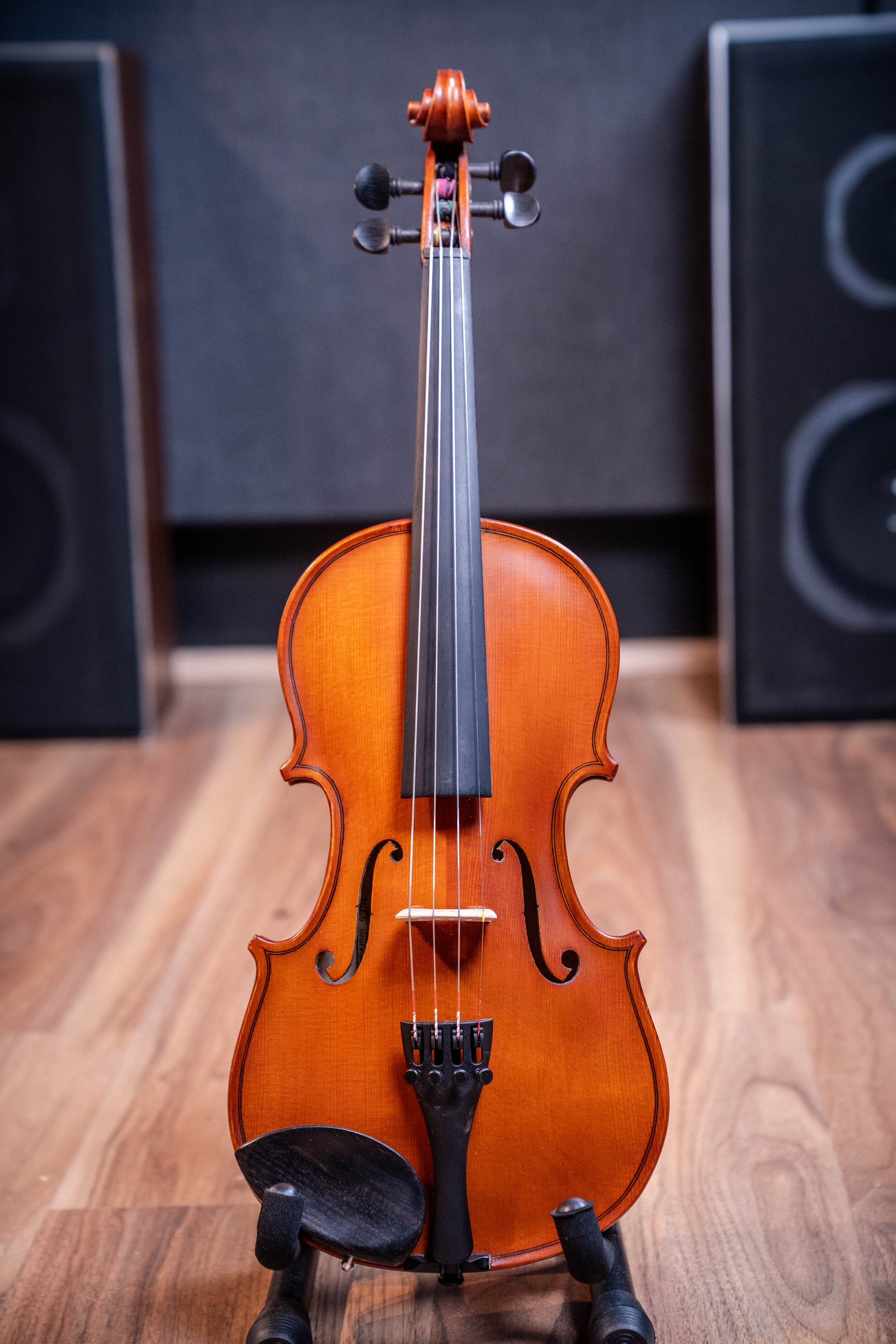 Gliga III Violin 1/2 Outfit - Set Up w/Tonica Strings