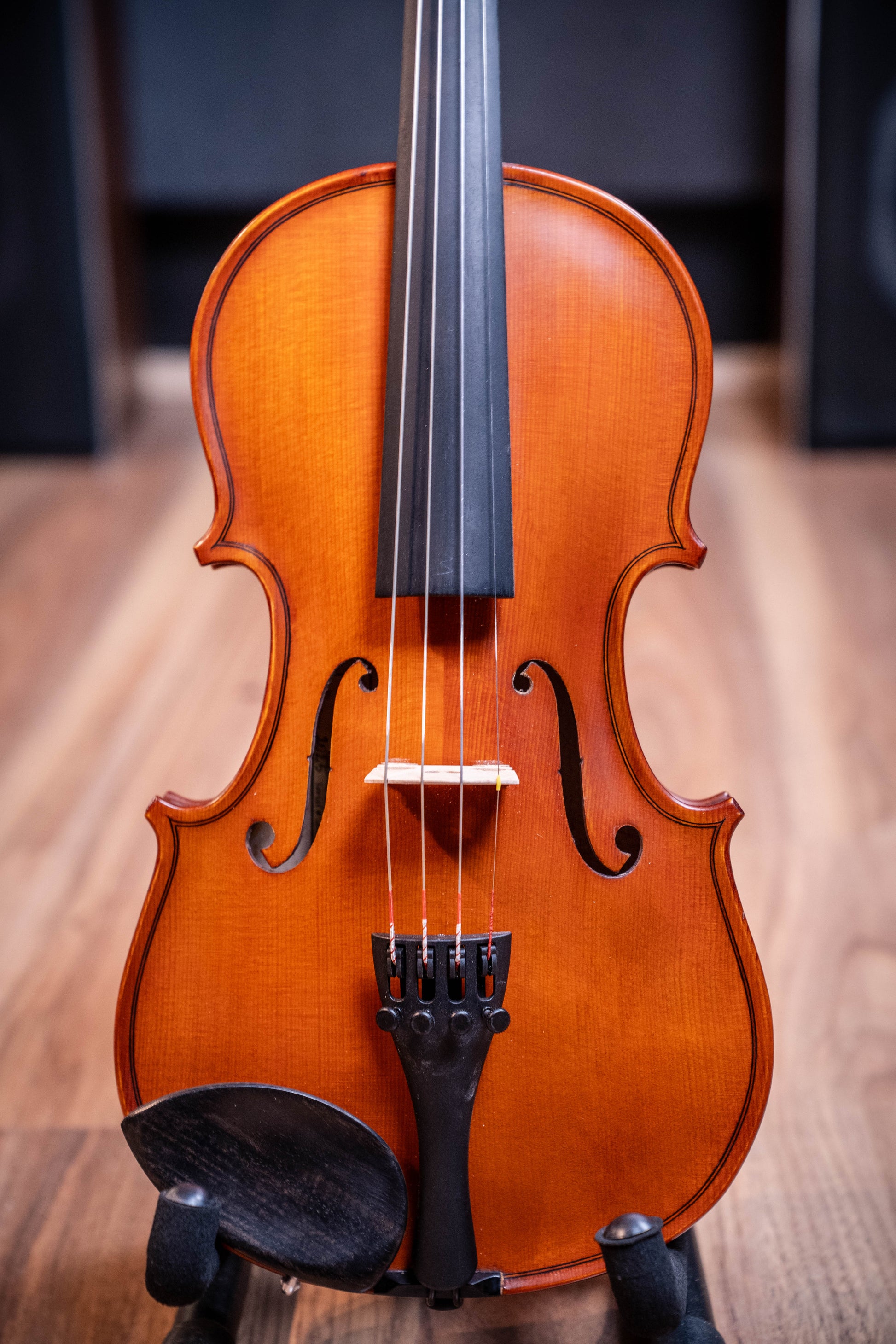 Gliga III Violin 1/2 Outfit - Set Up w/Tonica Strings