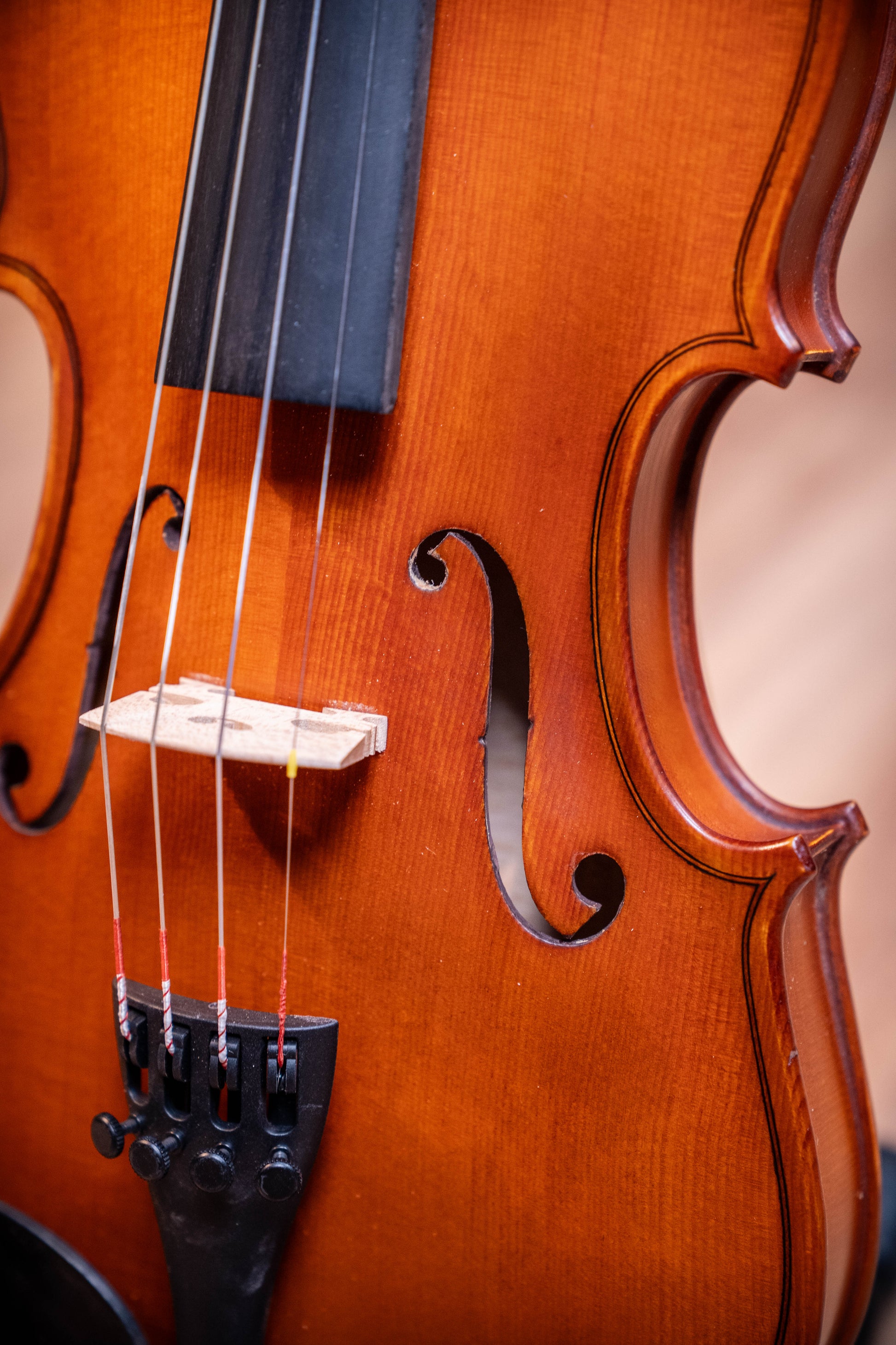 Gliga III Violin 1/2 Outfit - Set Up w/Tonica Strings