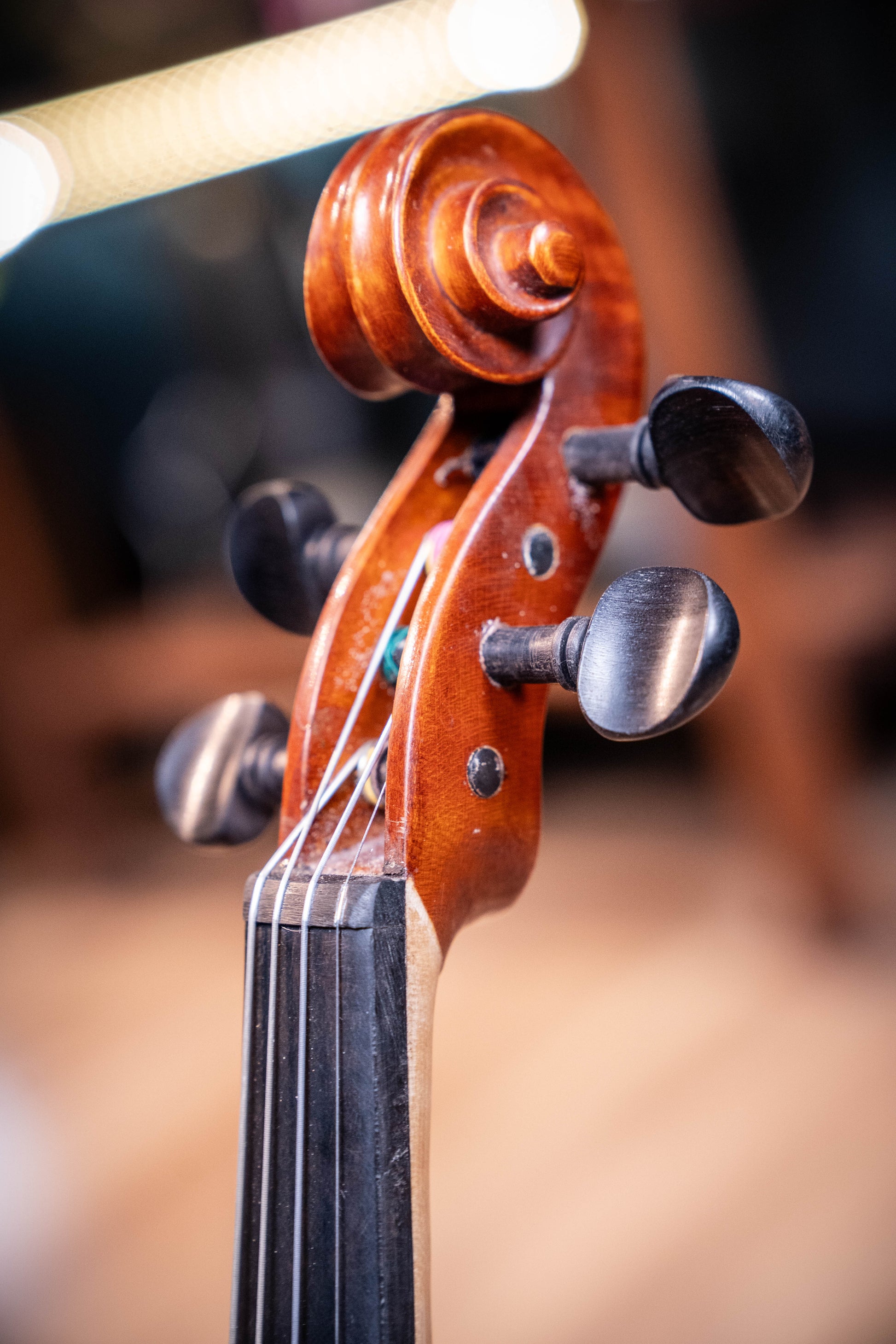 Gliga III Violin 1/2 Outfit - Set Up w/Tonica Strings