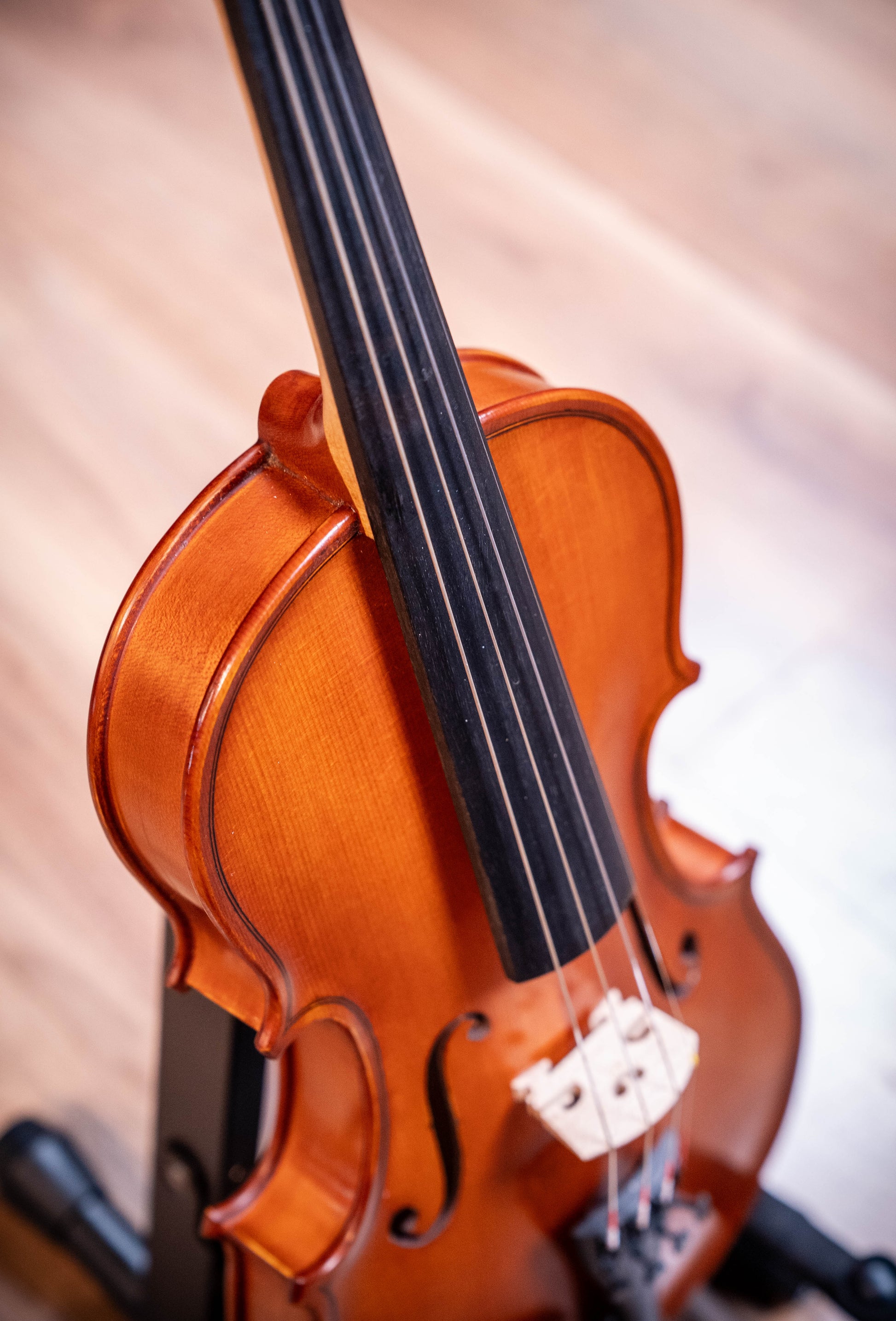 Gliga III Violin 1/2 Outfit - Set Up w/Tonica Strings