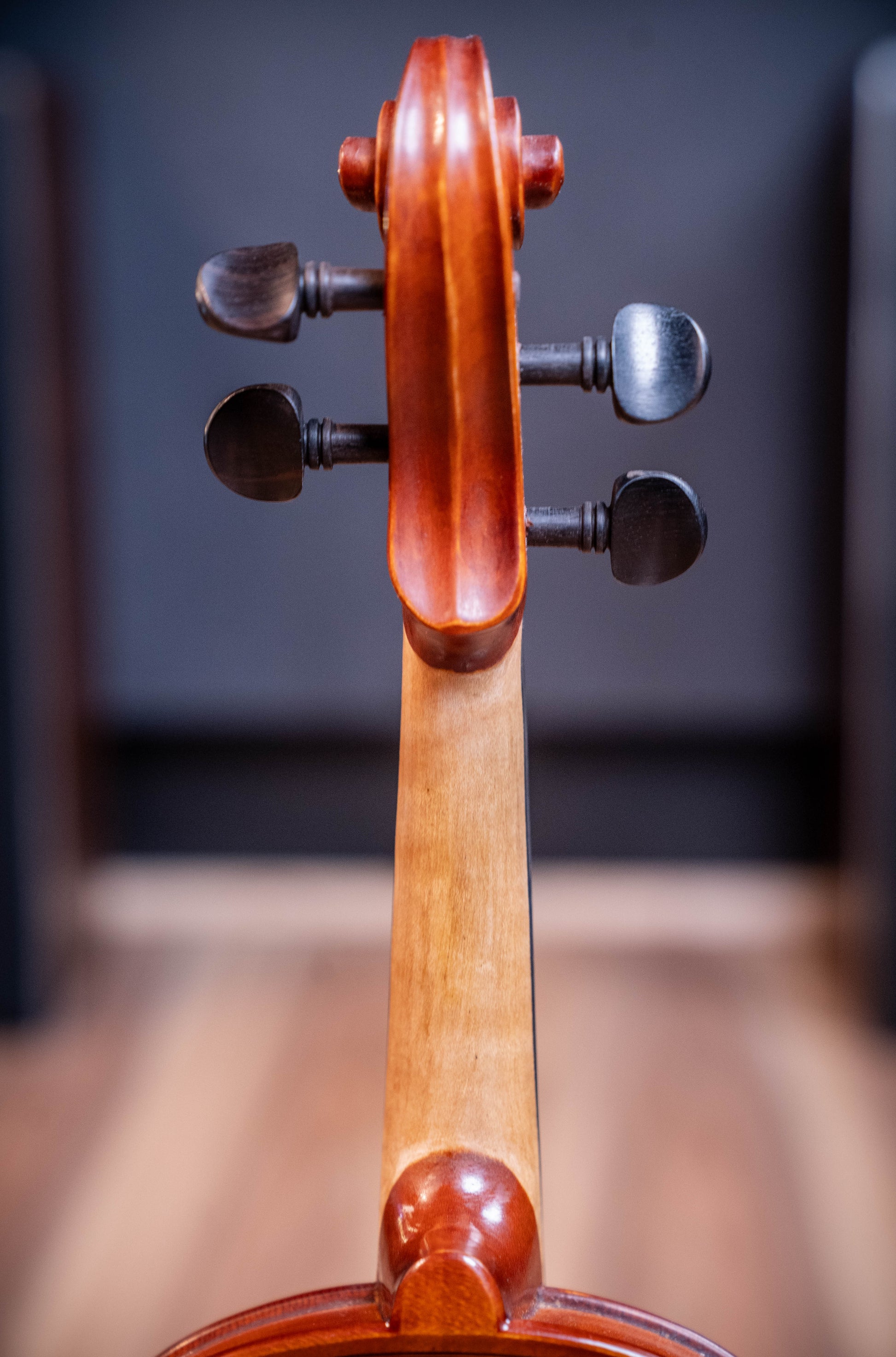 Gliga III Violin 1/2 Outfit - Set Up w/Tonica Strings