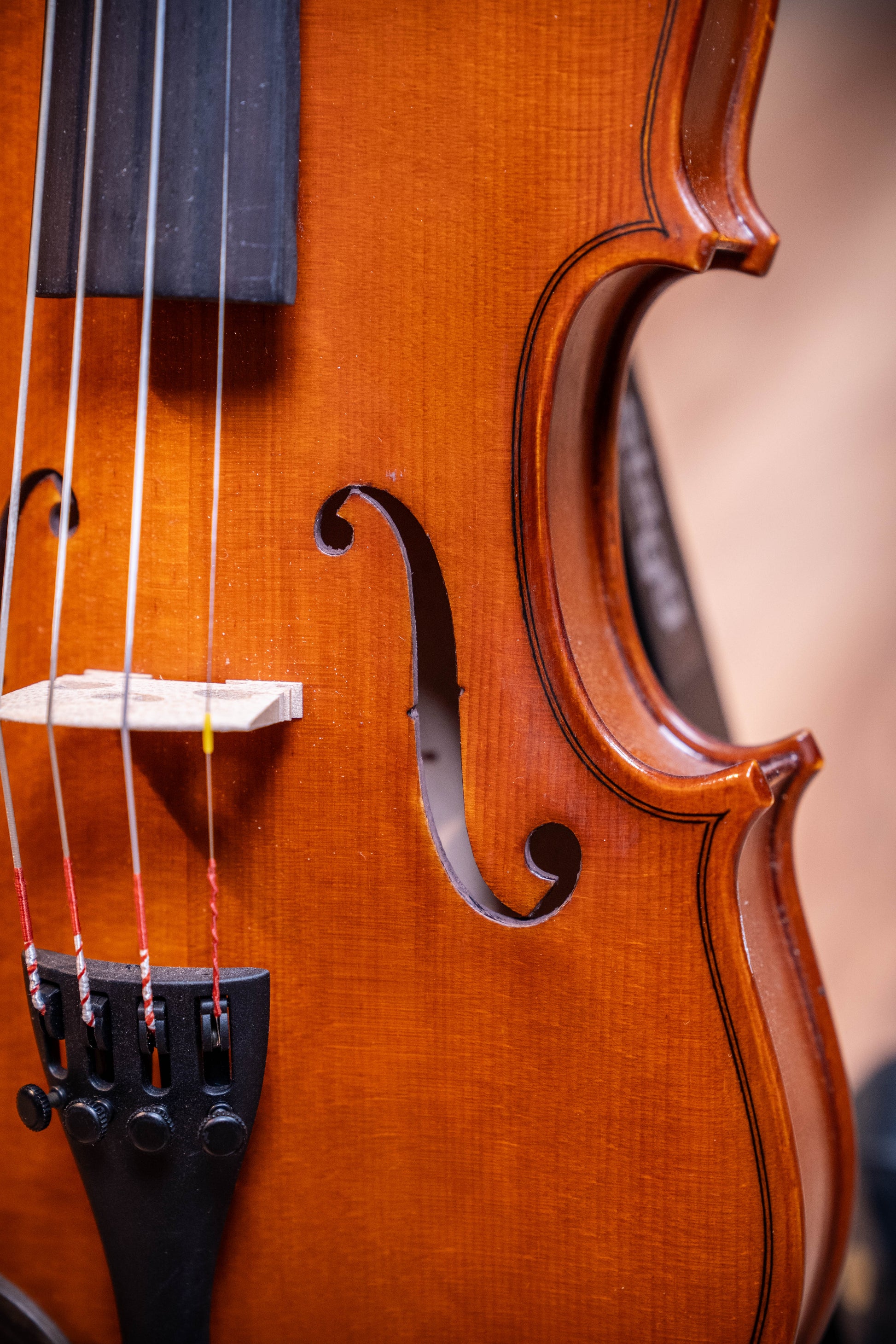 Gliga III violin 1/4 size outfit