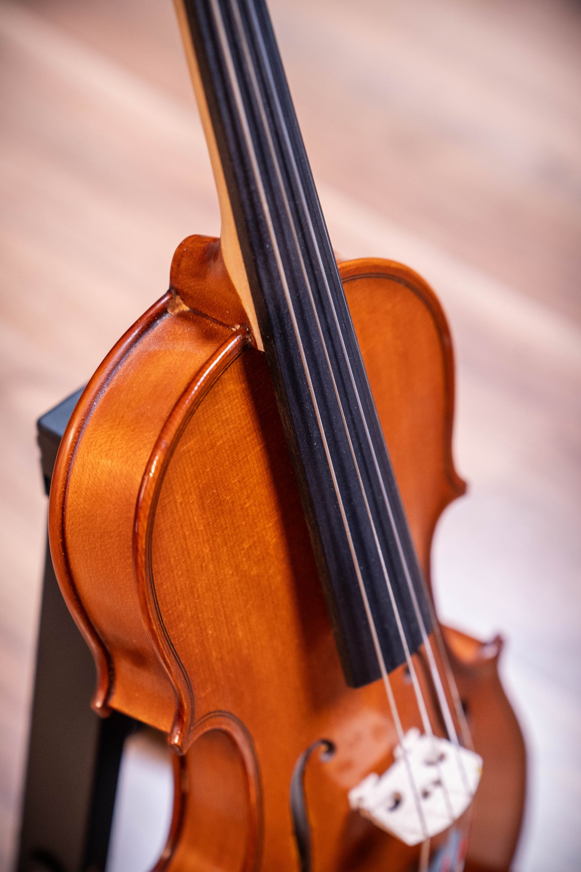 Gliga III violin 1/4 size outfit