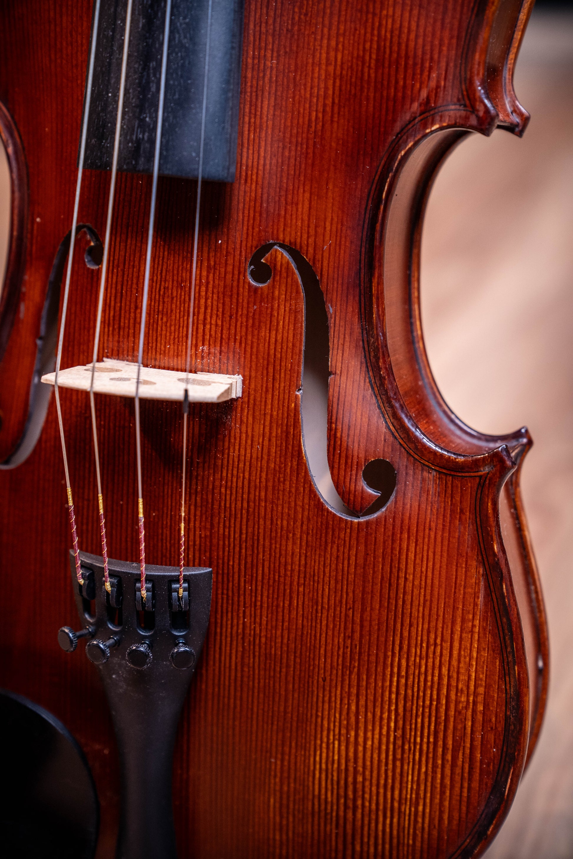 Gliga II Violin Outfit 4/4 - Aged Dark Antique - Set Up w/Opal Gold Strings