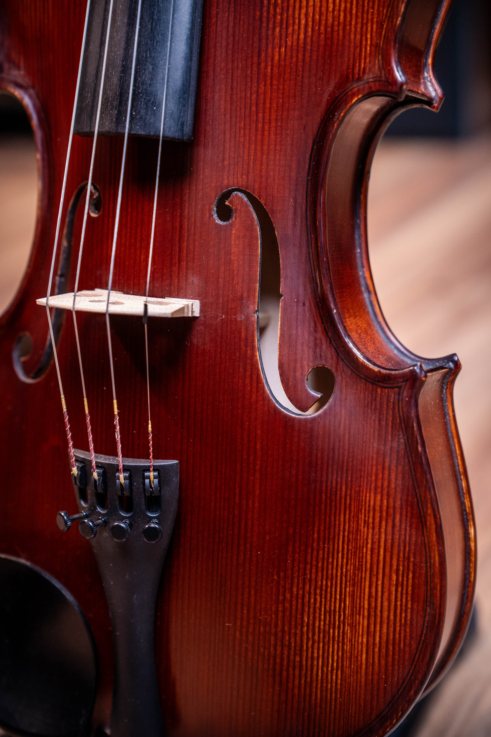 Gliga II 4/4 Violin Outfit - Dark Antique - Set Up w/Opal Gold Strings