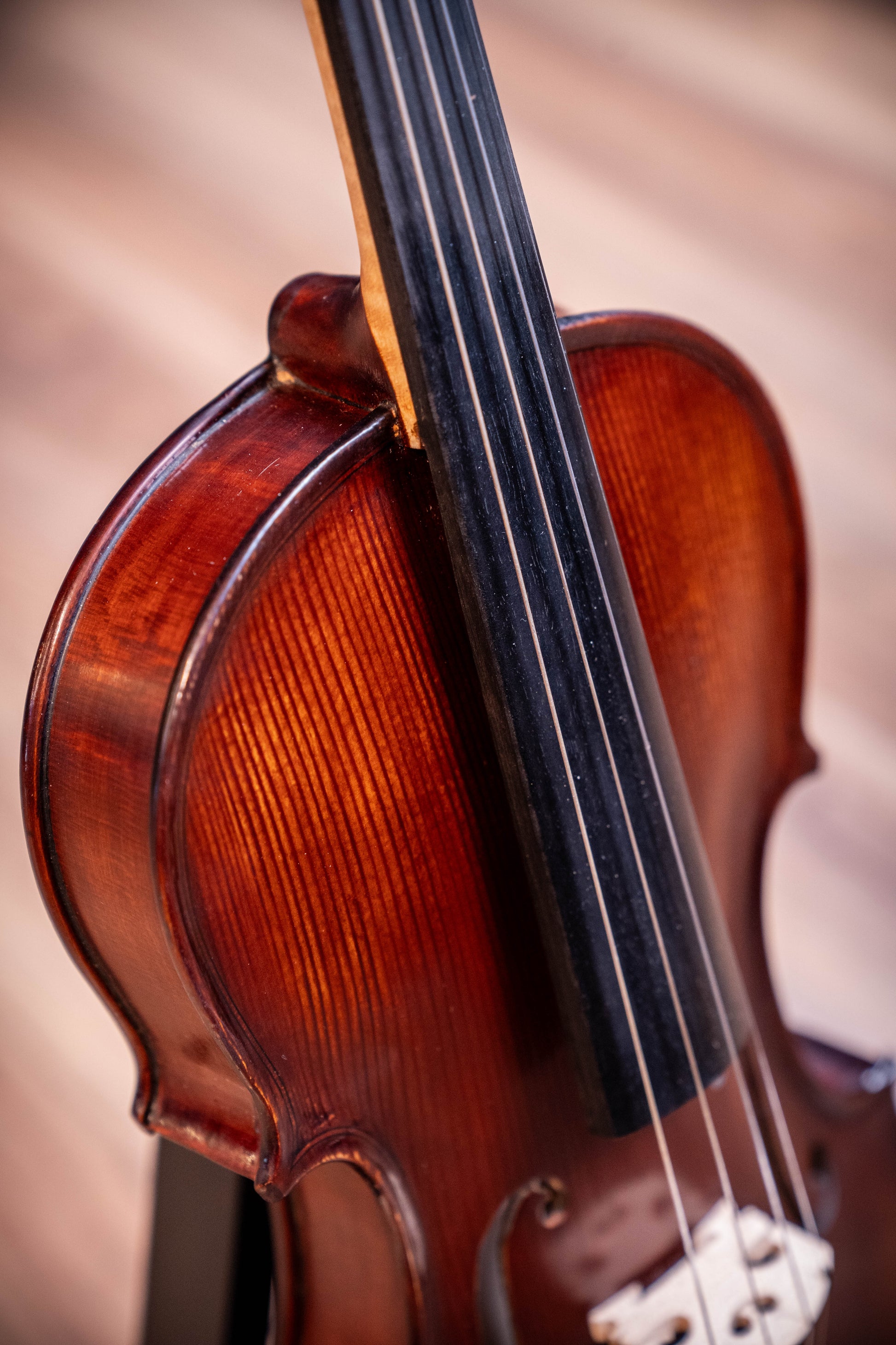 Gliga II 4/4 Violin Outfit - Dark Antique - Set Up w/Opal Gold Strings