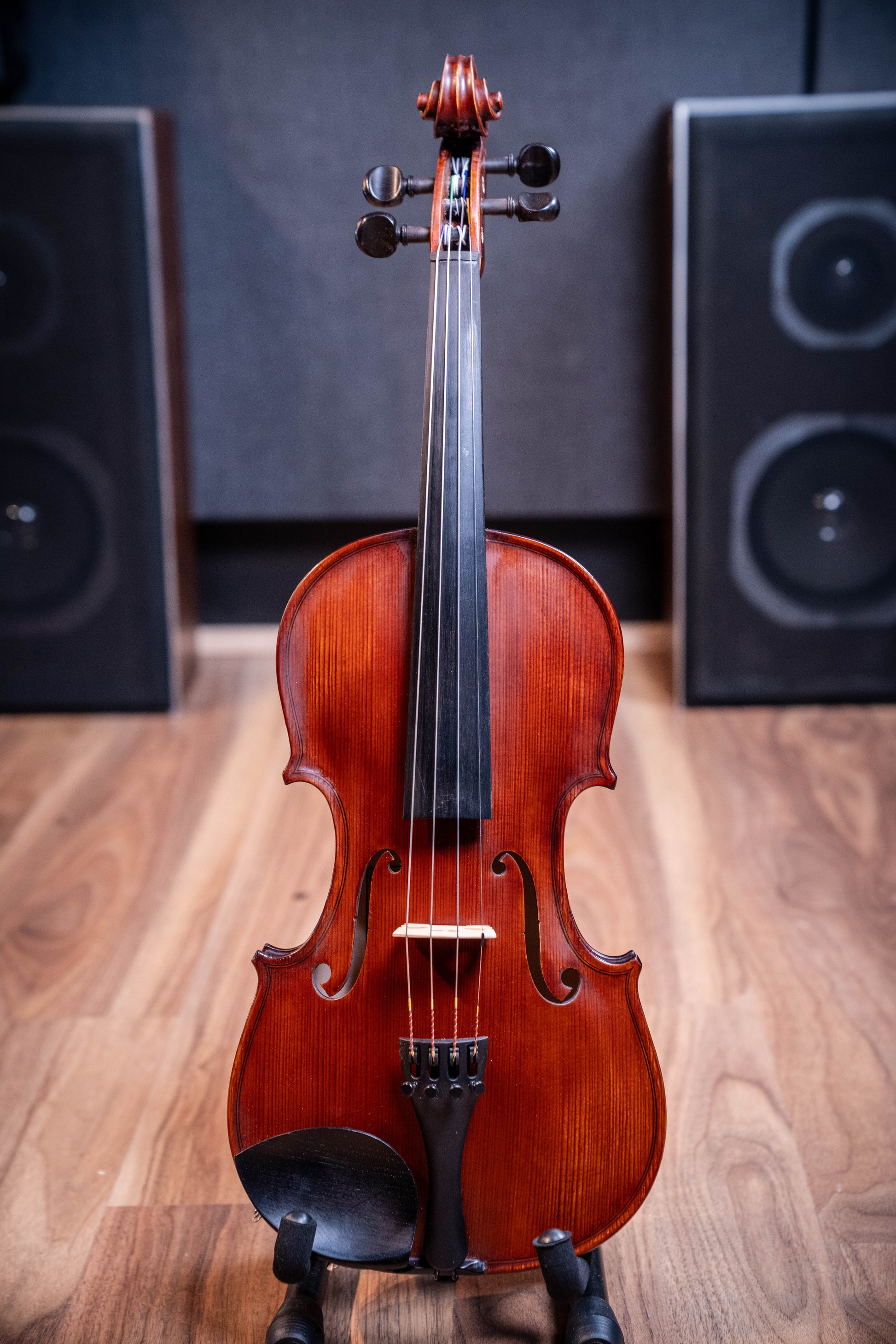 Gliga I Violin Outfit 4/4 - Dark Antique - Set Up w/Opal Gold Strings