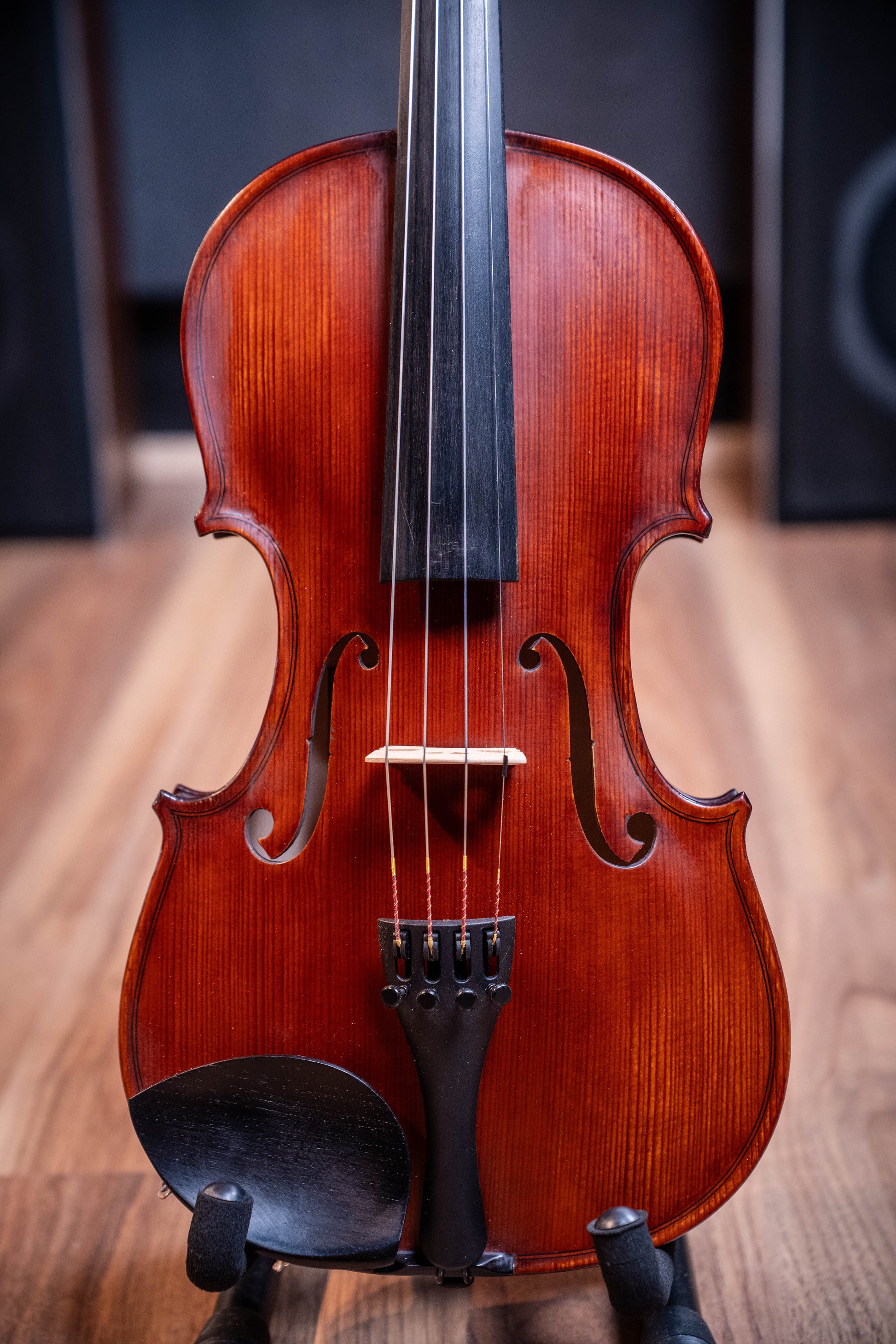 Gliga I Violin Outfit 4/4 - Dark Antique - Set Up w/Opal Gold Strings