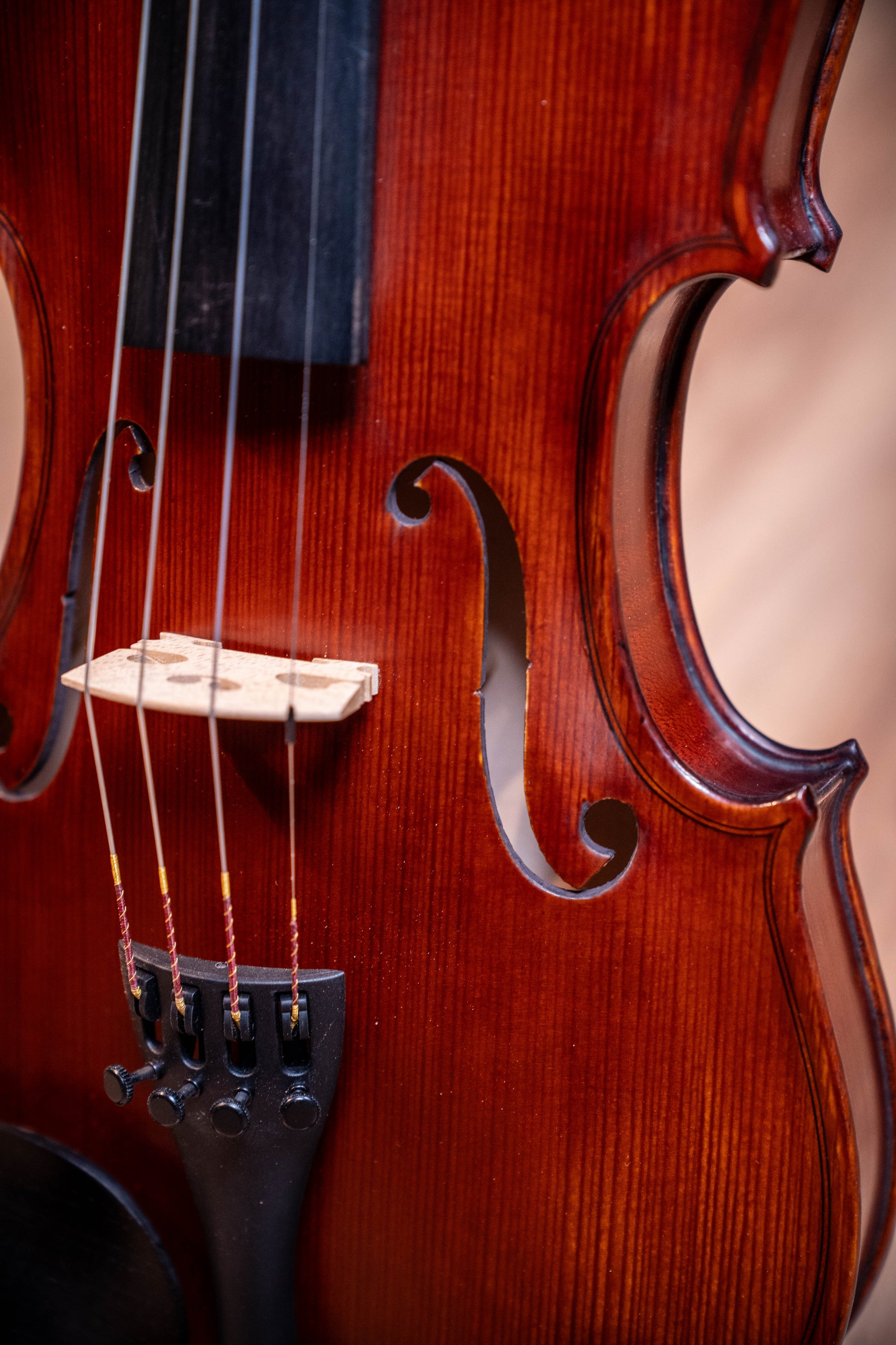 Gliga I Violin Outfit 4/4 - Dark Antique - Set Up w/Opal Gold Strings
