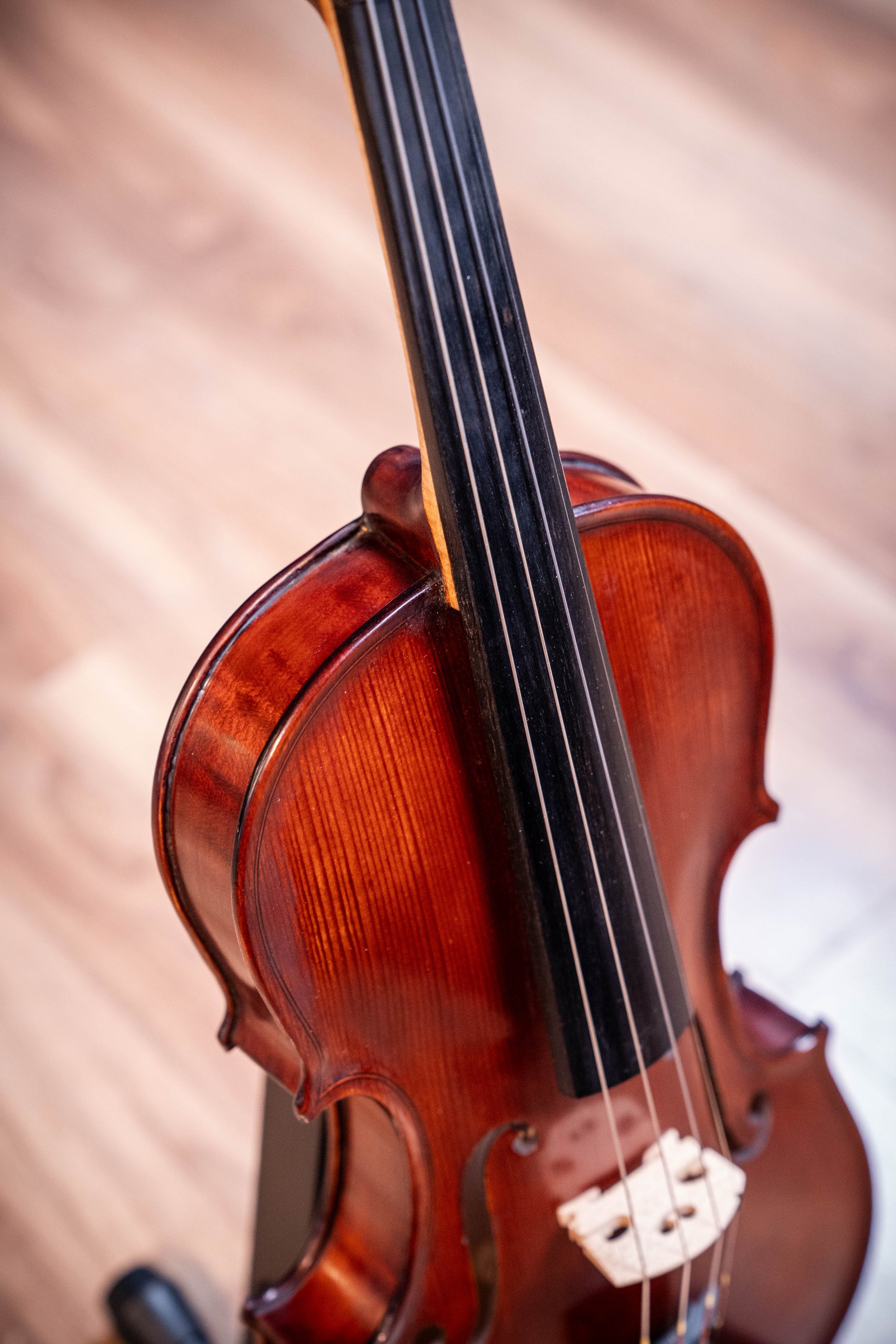 Gliga I Violin Outfit 4/4 - Dark Antique - Set Up w/Opal Gold Strings