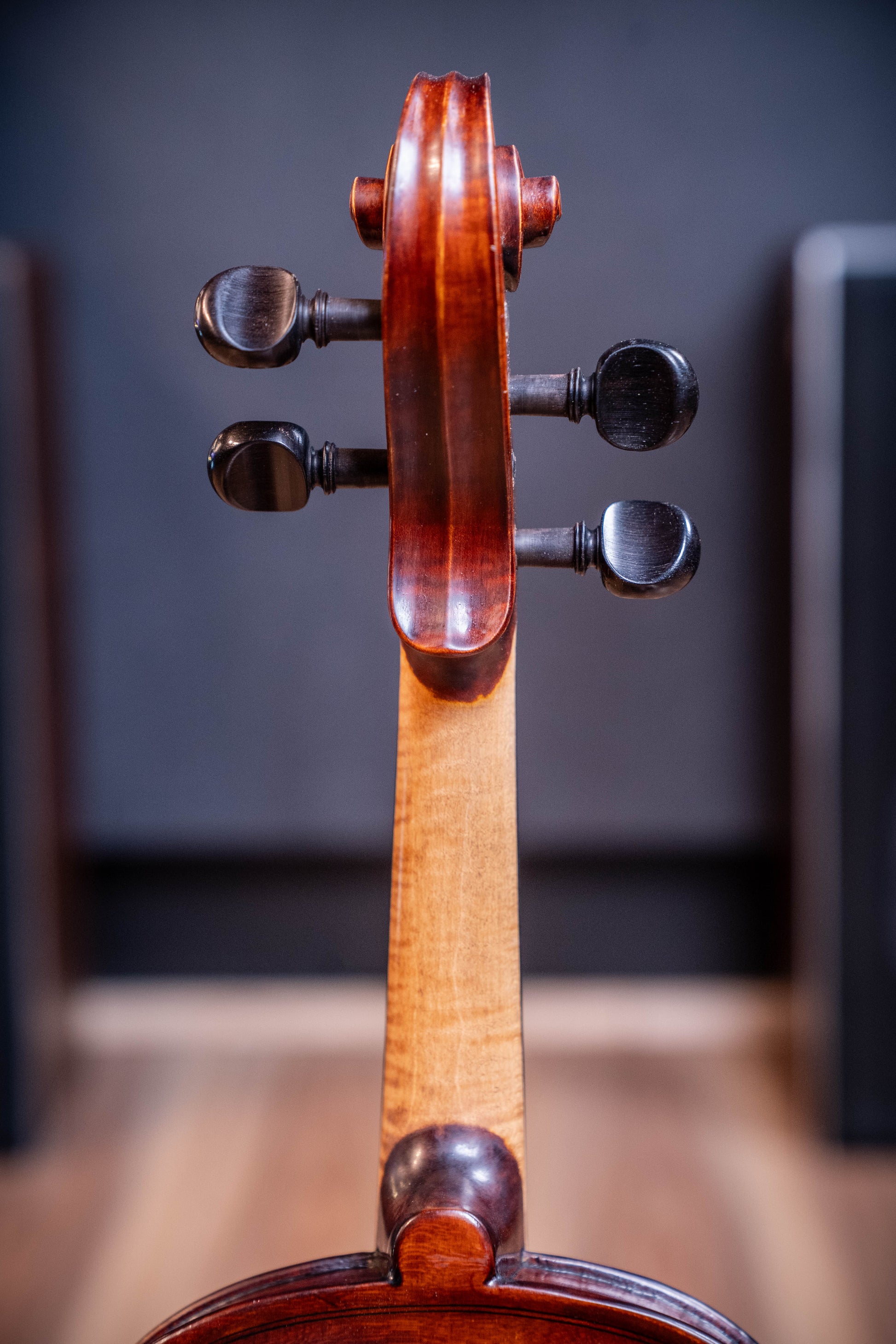Gliga I Violin Outfit 4/4 - Dark Antique - Set Up w/Opal Gold Strings