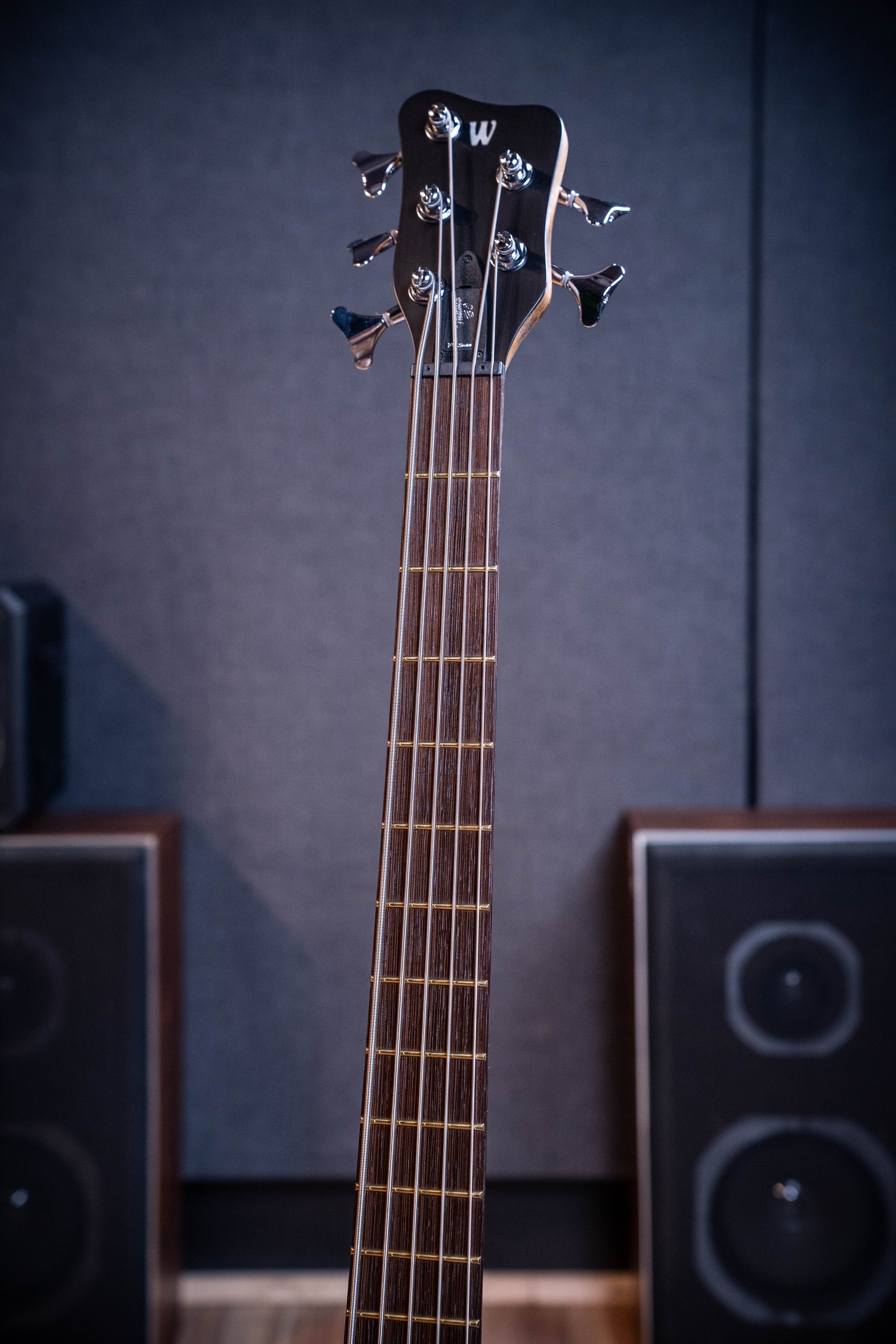 Warwick Teambuilt Thumb BO 5-String Bass w/Gigbag - Natural Transparent Satin