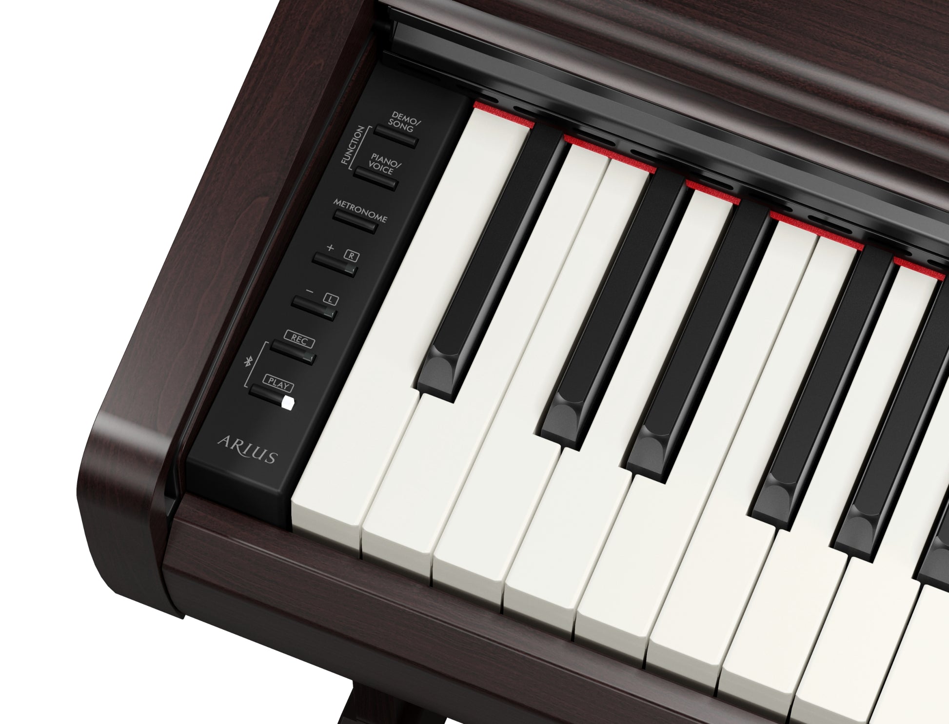Yamaha YDP146R Digital Piano w/Matching Bench - Rosewood