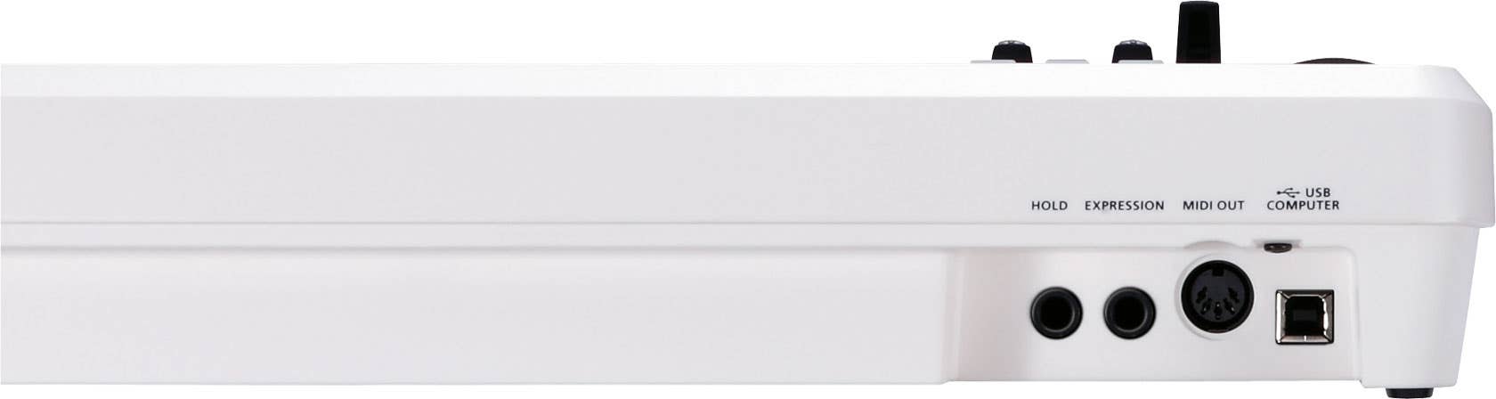 Roland A49 MIDI Keyboard Controller - Pearl White (A-49WH)