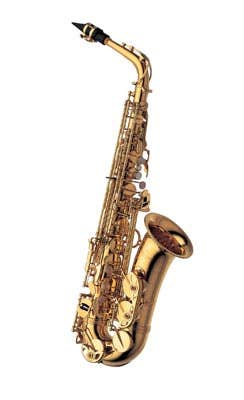 Yanagisawa AWO1 Professional Alto sax (A-WO1)