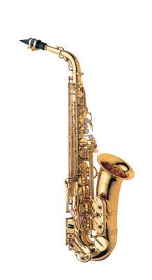Yanagisawa AWO10 Professional Alto sax (A-WO10)