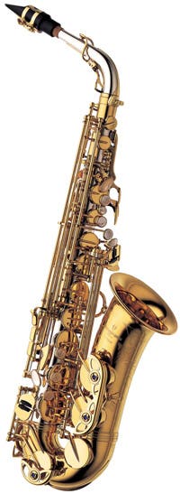 Professional Alto S/Silver Neck/Body