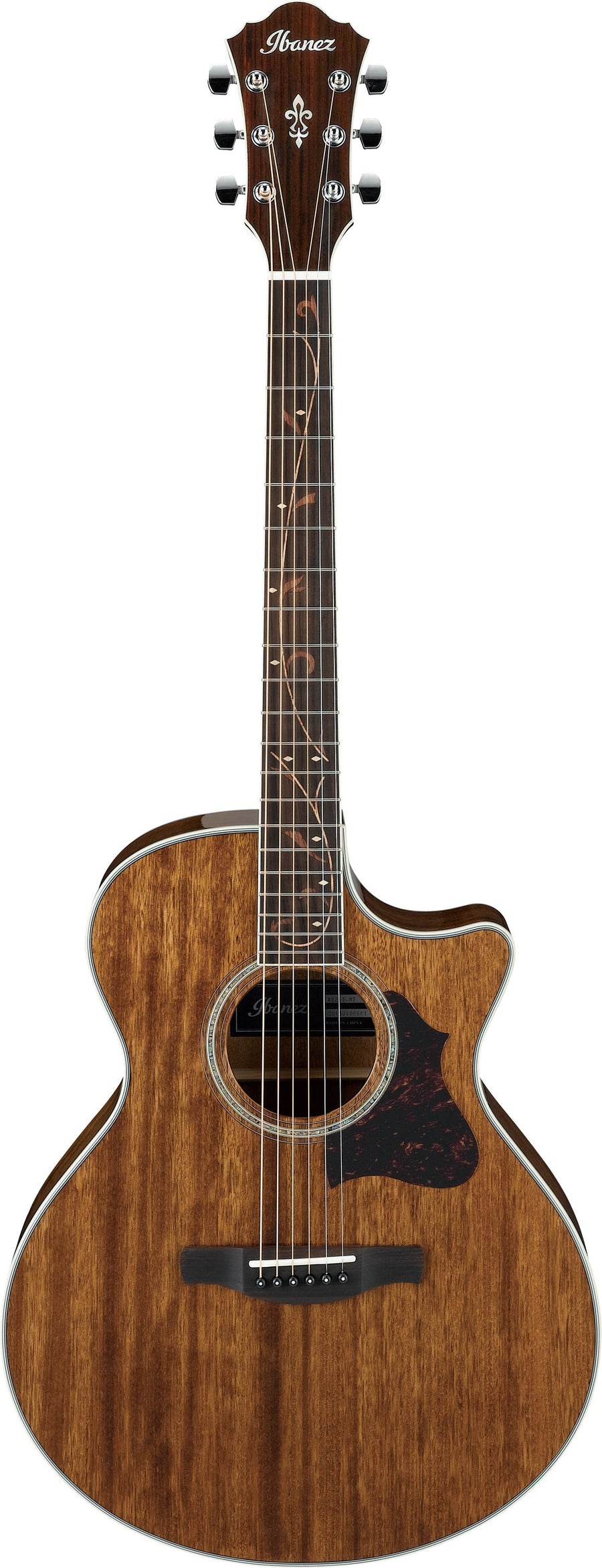 IBANEZ AE245 NT ACOUSTIC/ELEC GUITAR