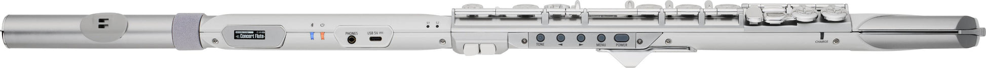 Roland Aerophone Brisa Digital Wind Instrument