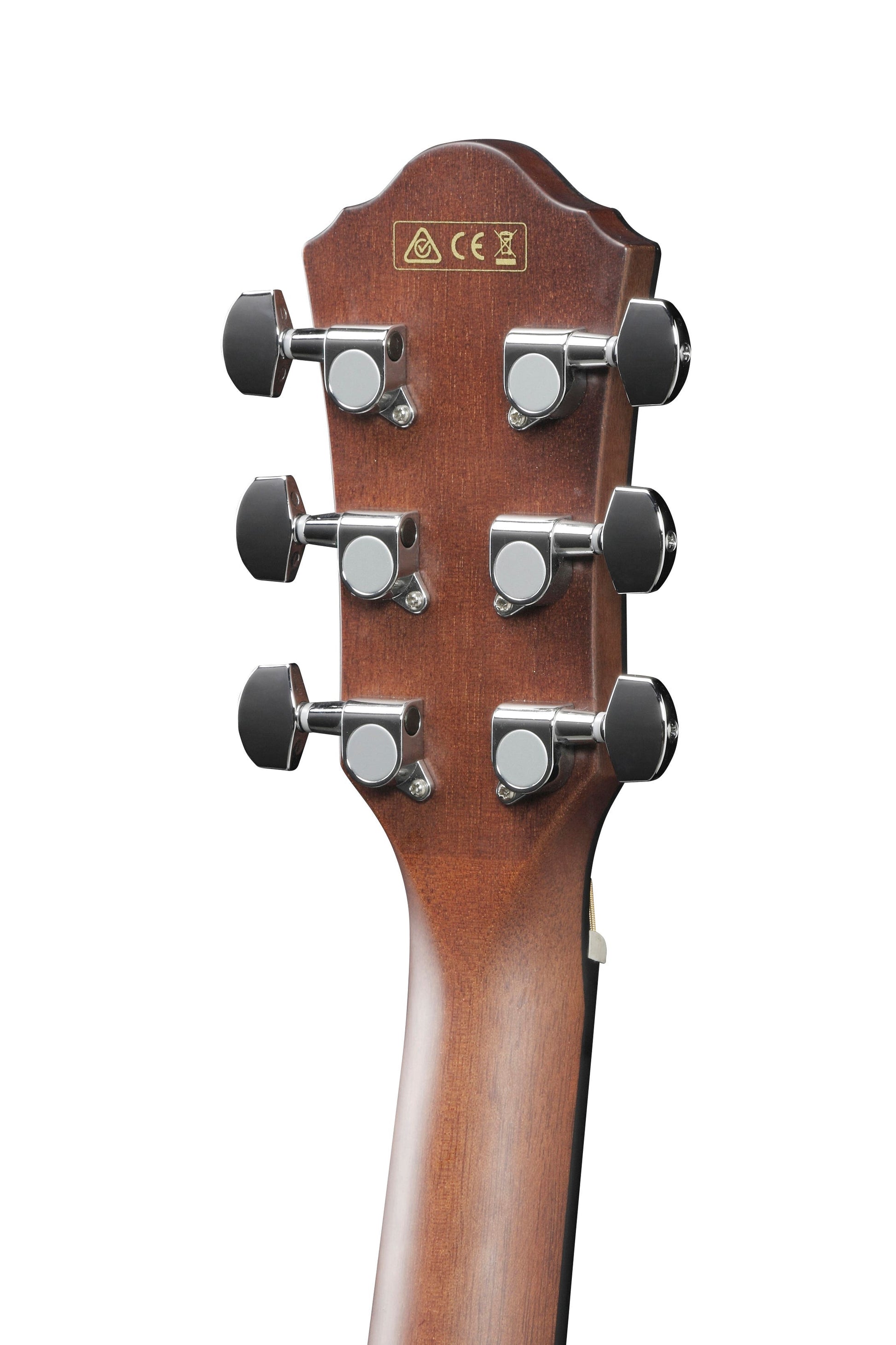 Ibanez AEG50 DHH Acoustic Guitar