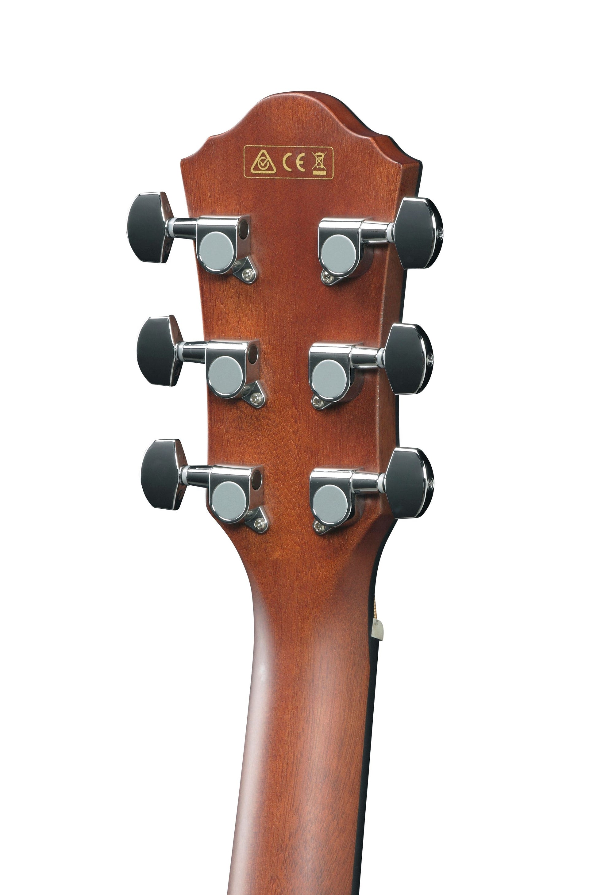 Ibanez AEG50 IBH Acoustic Guitar