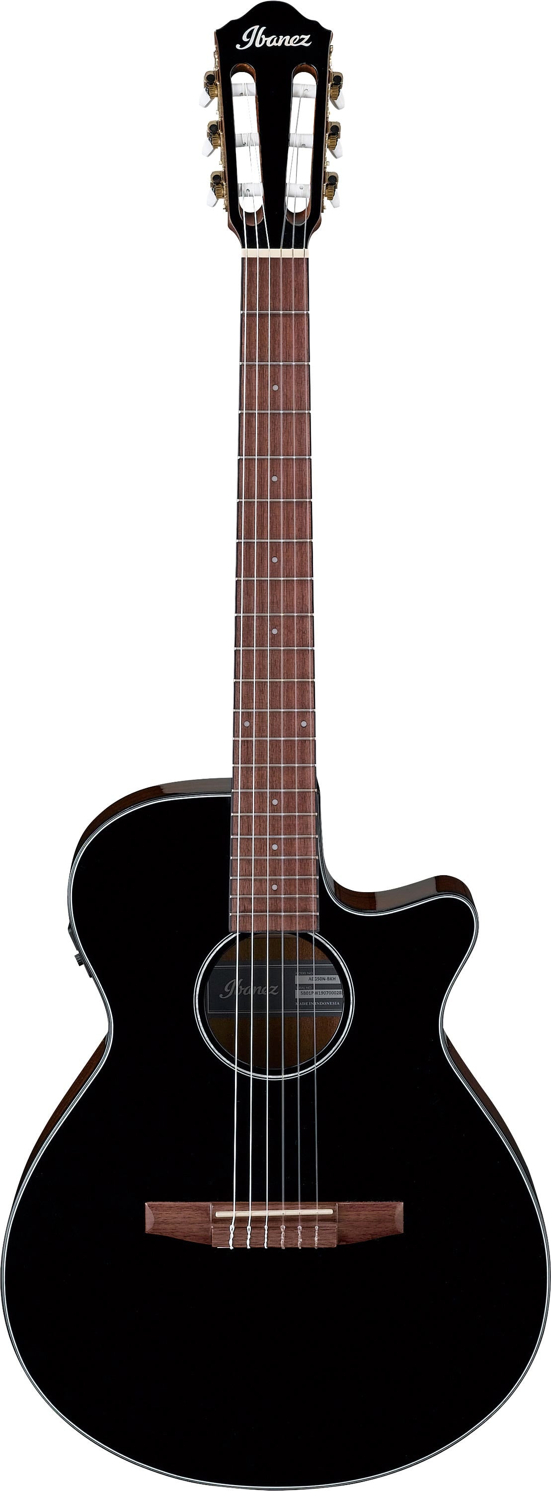 Ibanez AEG50N BKH Acoustic Guitar