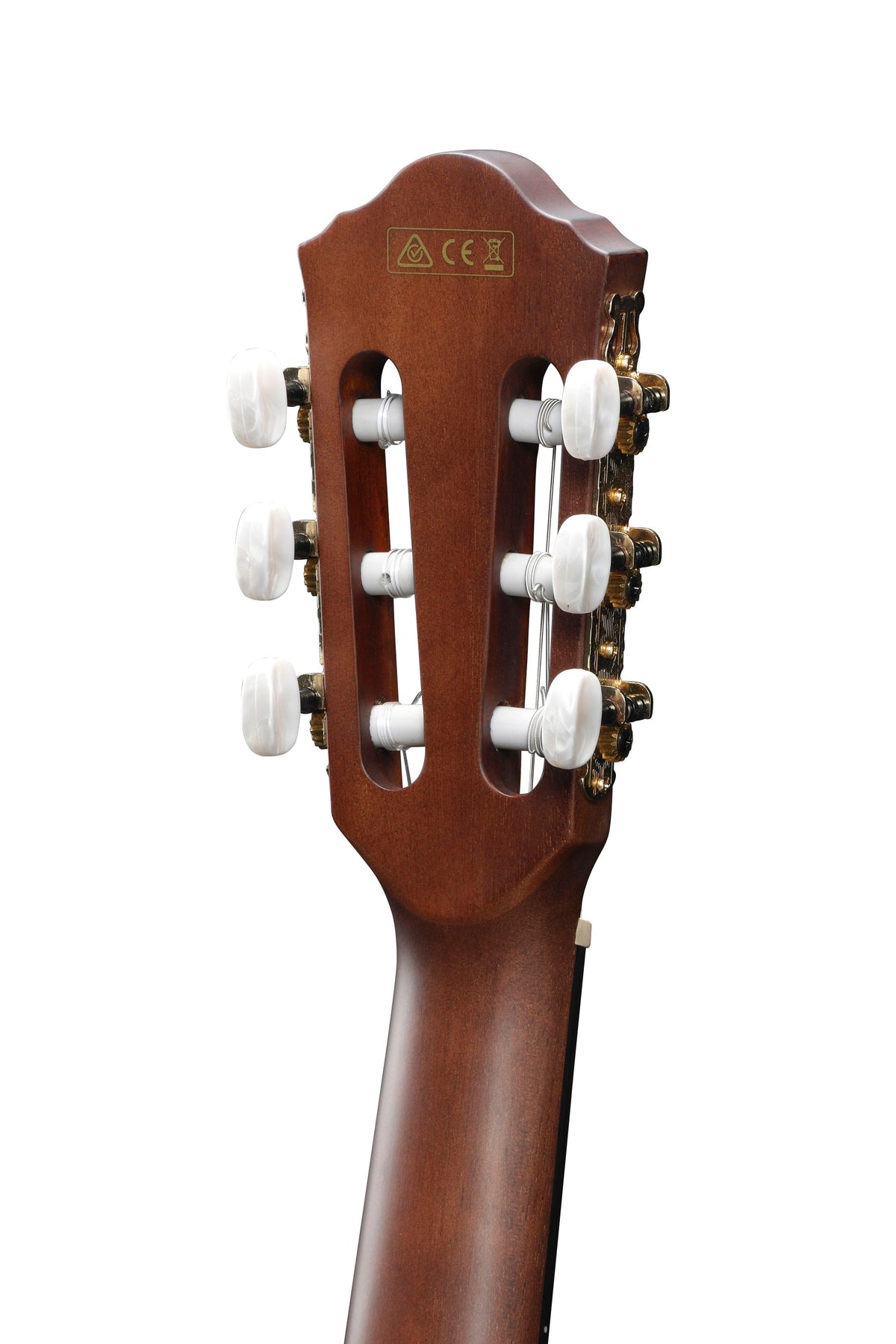 Ibanez AEG50N BKH Acoustic Guitar