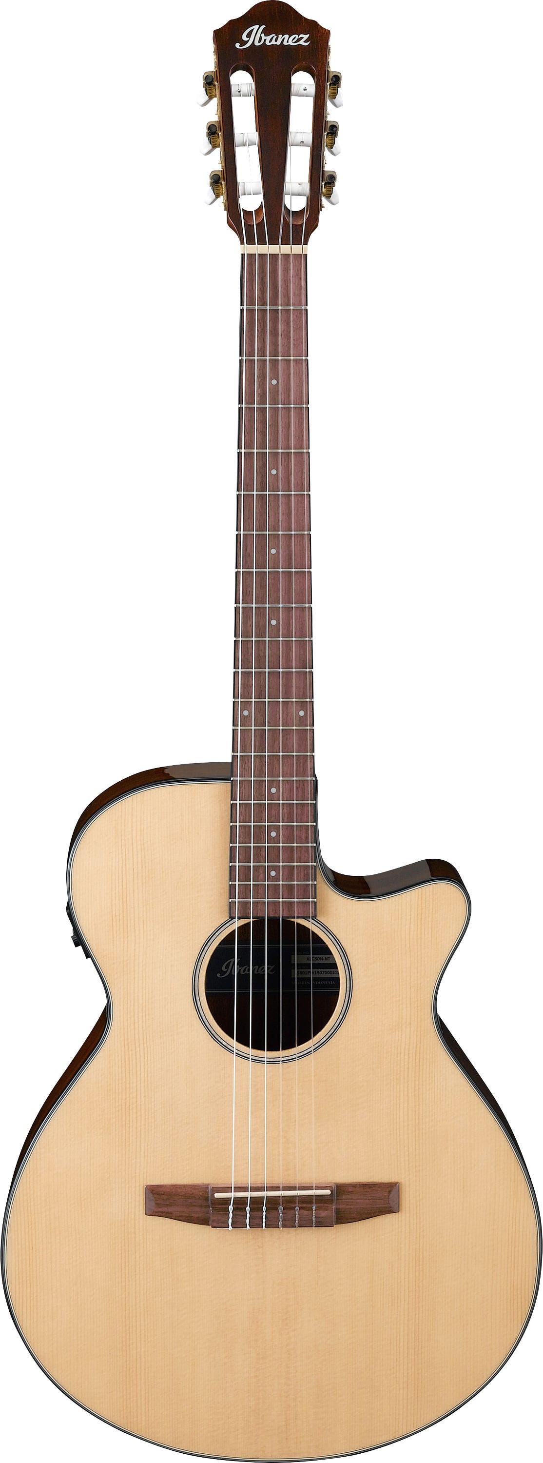 Ibanez AEG50 NNT Acoustic Guitar
