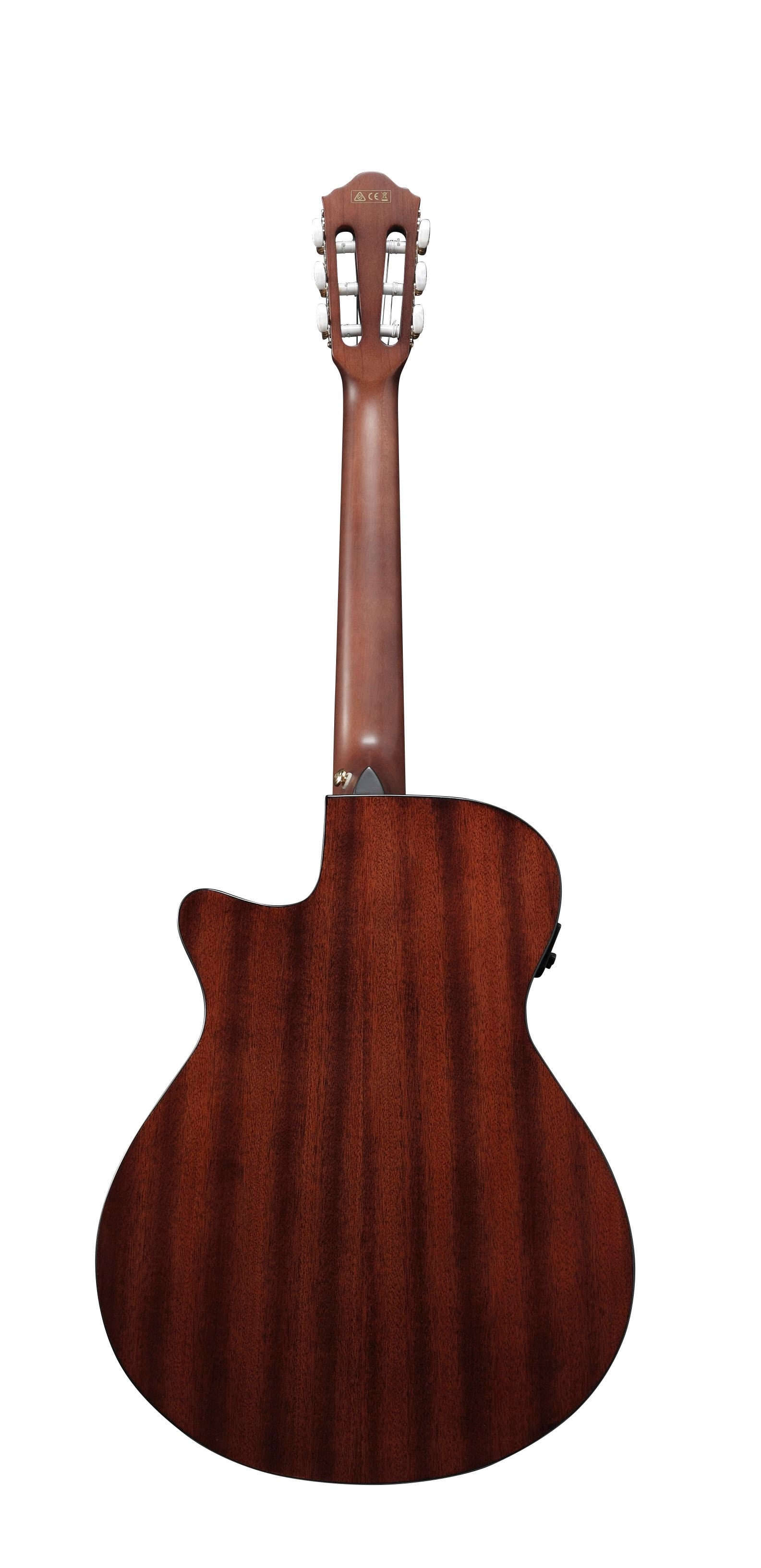 Ibanez AEG50 NNT Acoustic Guitar