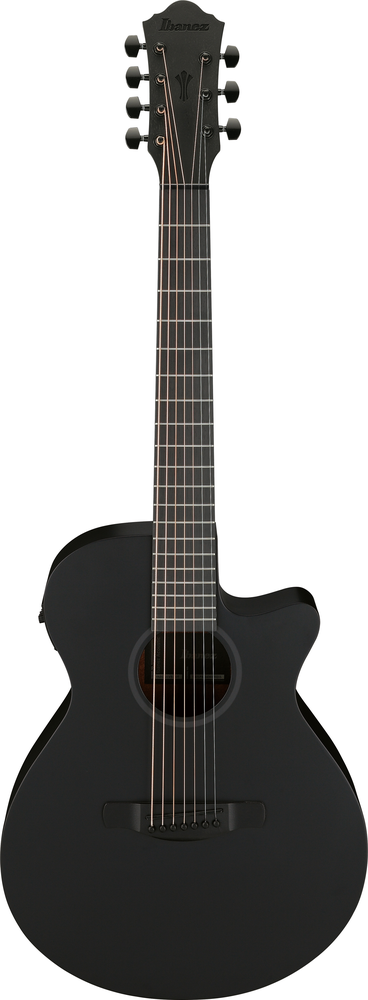 Ibanez AEG721 Acoustic Guitar - Black Out