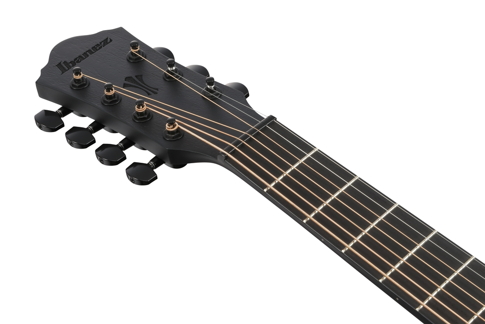 Ibanez AEG721 Acoustic Guitar - Black Out