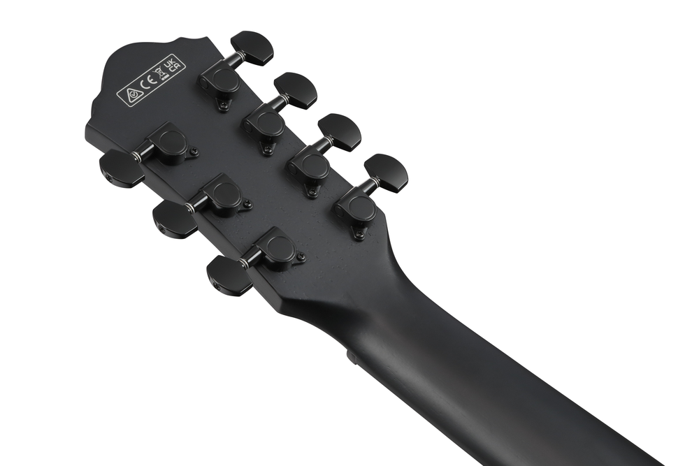Ibanez AEG721 Acoustic Guitar - Black Out