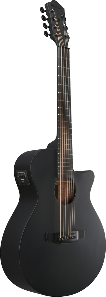 Ibanez AEG721 Acoustic Guitar - Black Out