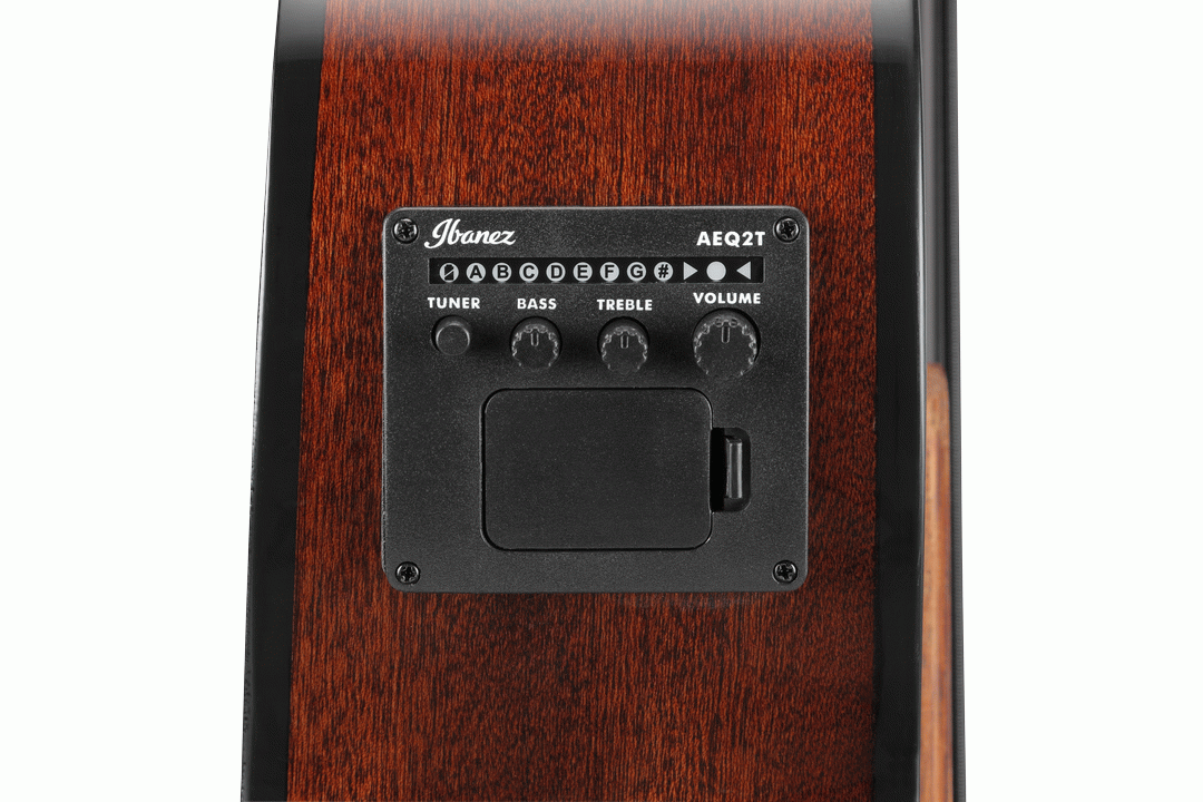 Ibanez AEGB24E BKH Acoustic Electric Bass - Black High Gloss