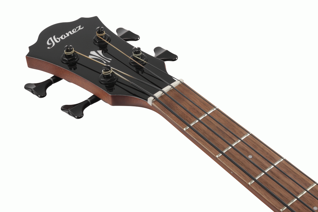 Ibanez AEGB24E BKH Acoustic Electric Bass - Black High Gloss