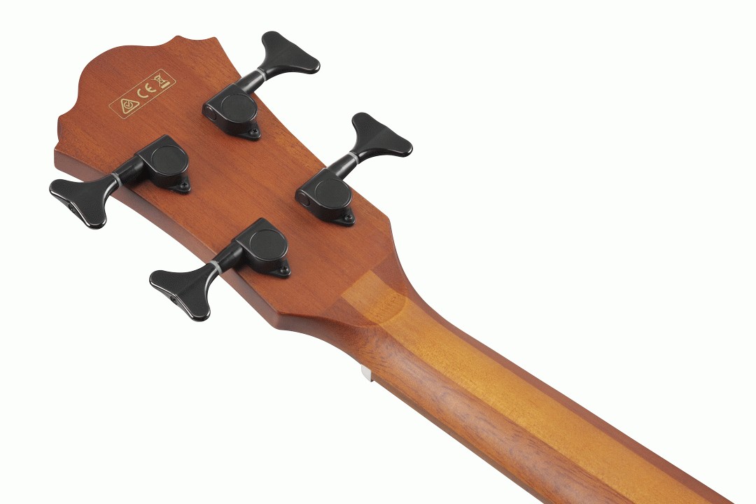 Ibanez AEGB24E BKH Acoustic Electric Bass - Black High Gloss