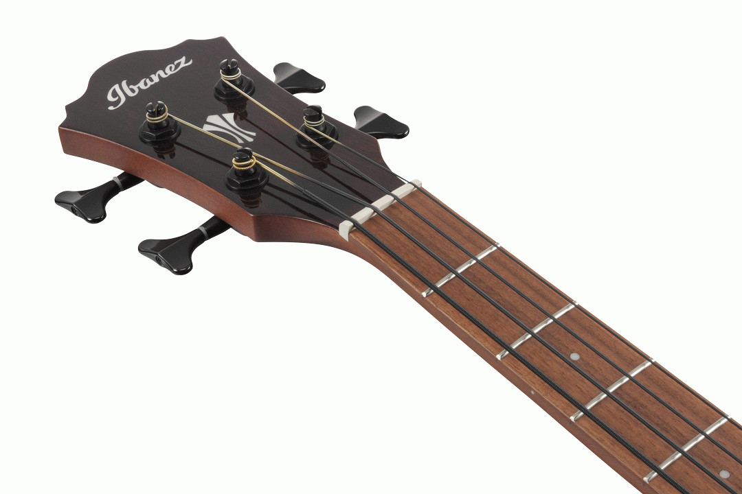 Ibanez AEGB24E MHS Acoustic Electric Bass - Mahogany Sunburst High Gloss