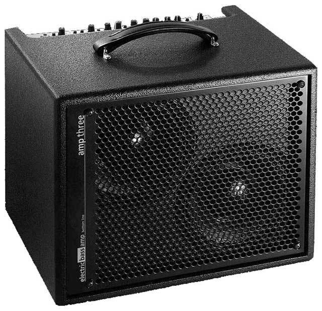 AER Amp Three 2x8" Bass Amp Combo