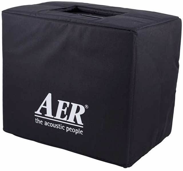 AER Domino2 100w Acoustic Guitar Amp