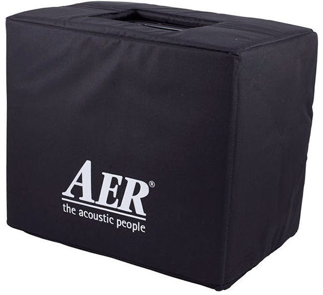 AER Domino 3 Acoustic Instrument Amplifier