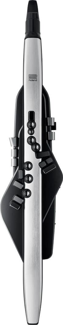 Roland AE-30 Aerophone Pro Digital Wind Instrument